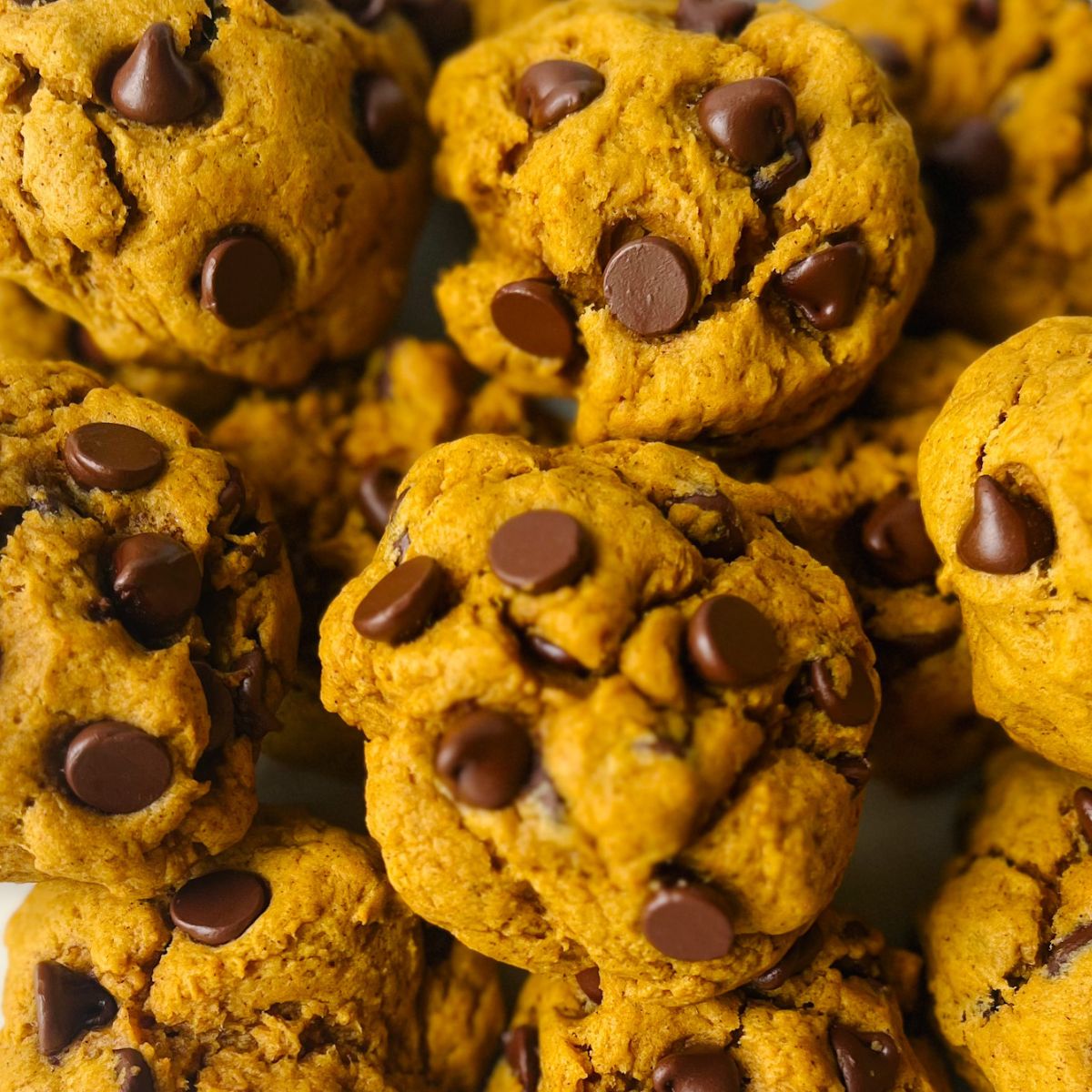 close up of tahini pumpkin chocolate chip cookies