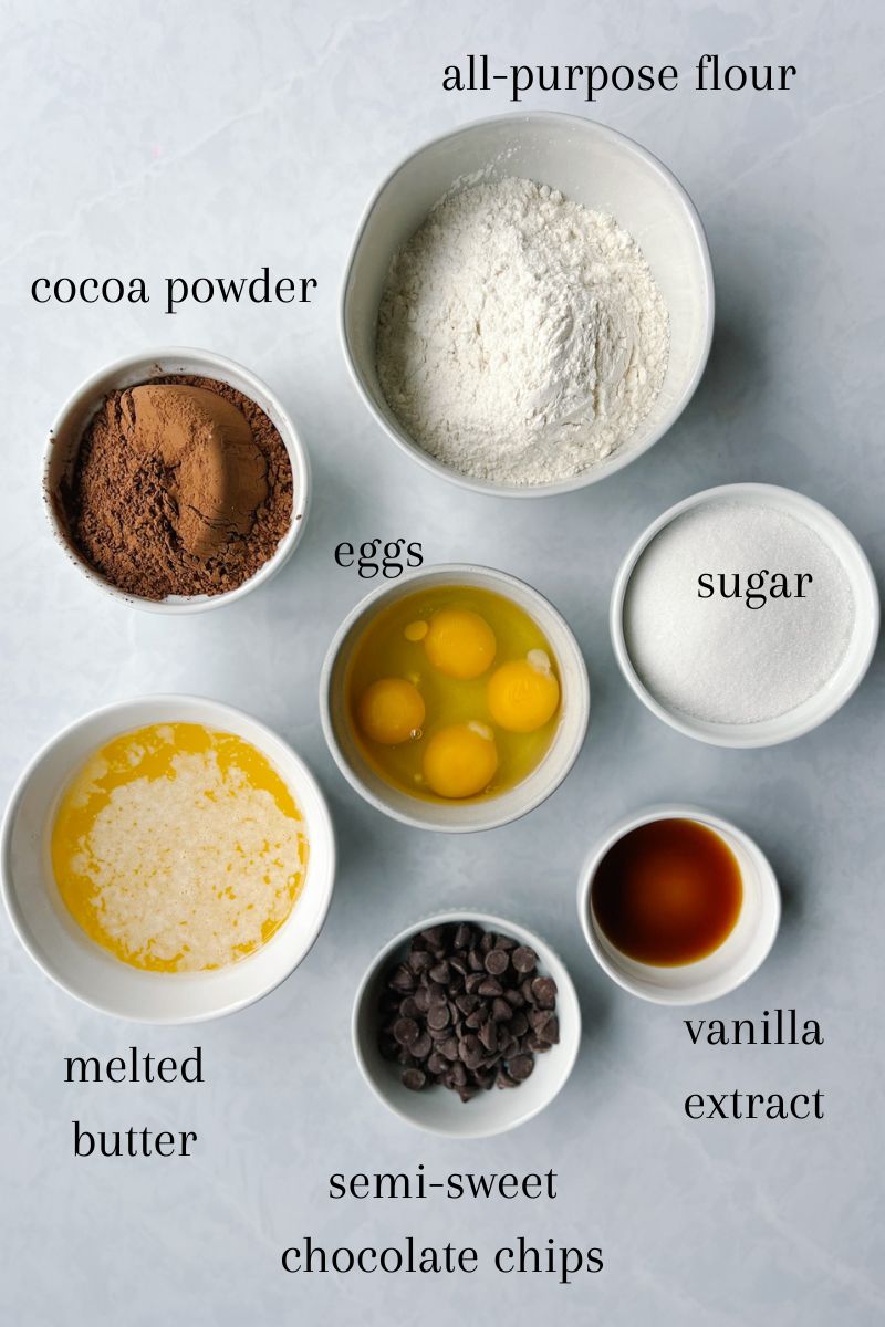 old-fashioned brownie ingredients: flour, cocoa powder, eggs, granulated sugar, melted butter, vanilla extract, and semi-sweet chocolate chips (optional).