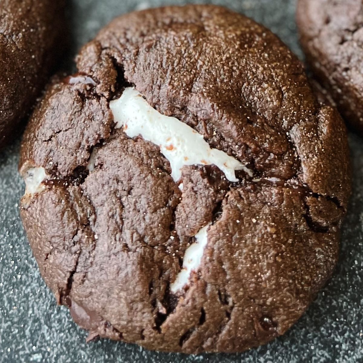 One baked hot cocoa cookie without frosting. 
