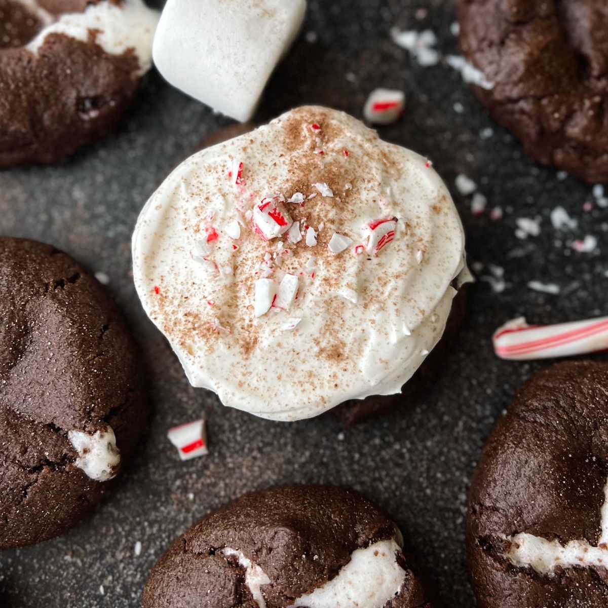 One frosted hot cocoa cookie with other cookies surrounding it.