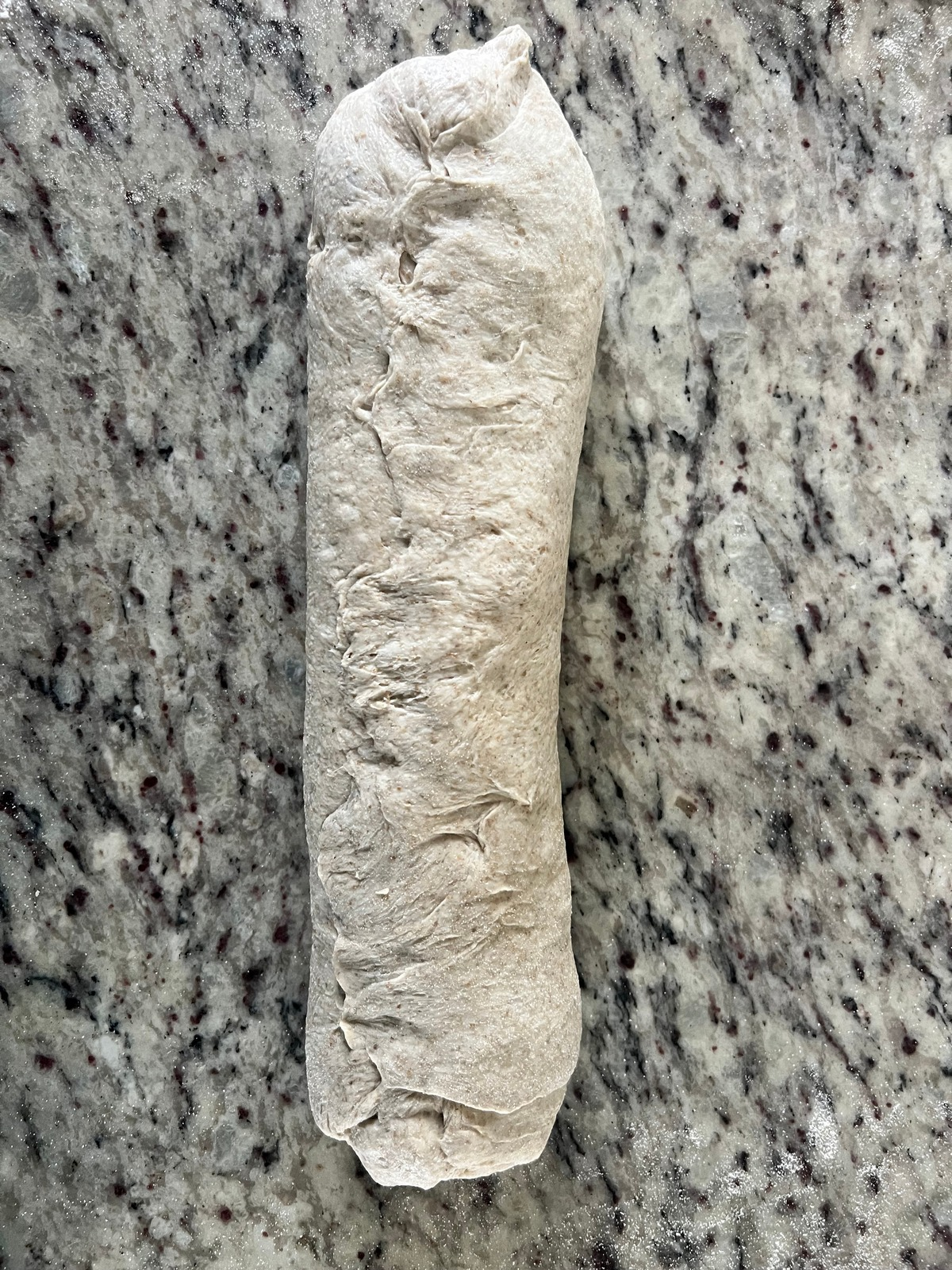 The sourdough marble rye dough has been rolled into a log and the seams have been pinched together.
