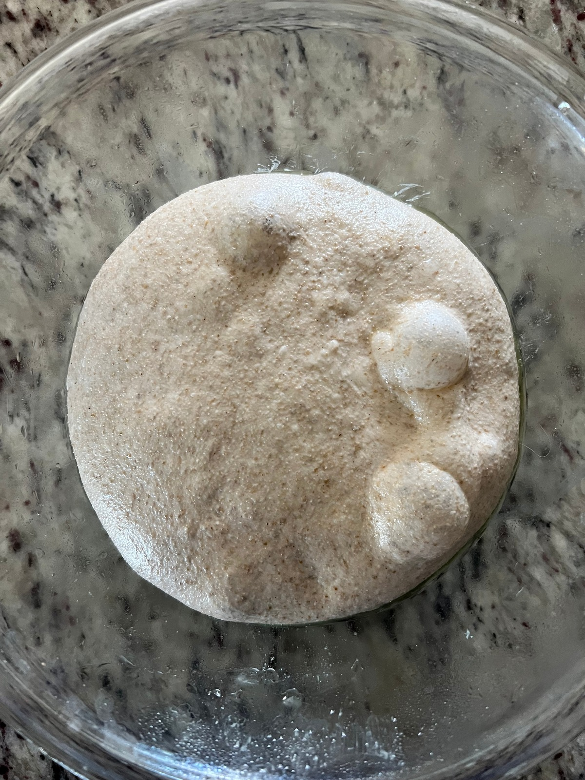 The bulk fermented lighter sourdough rye dough ball is shown in a glass mixing bowl. 
