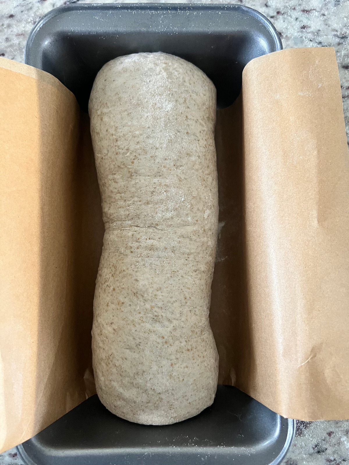 The sourdough marble rye dough is shown in a parchment paper lined loaf pan before its second rise.