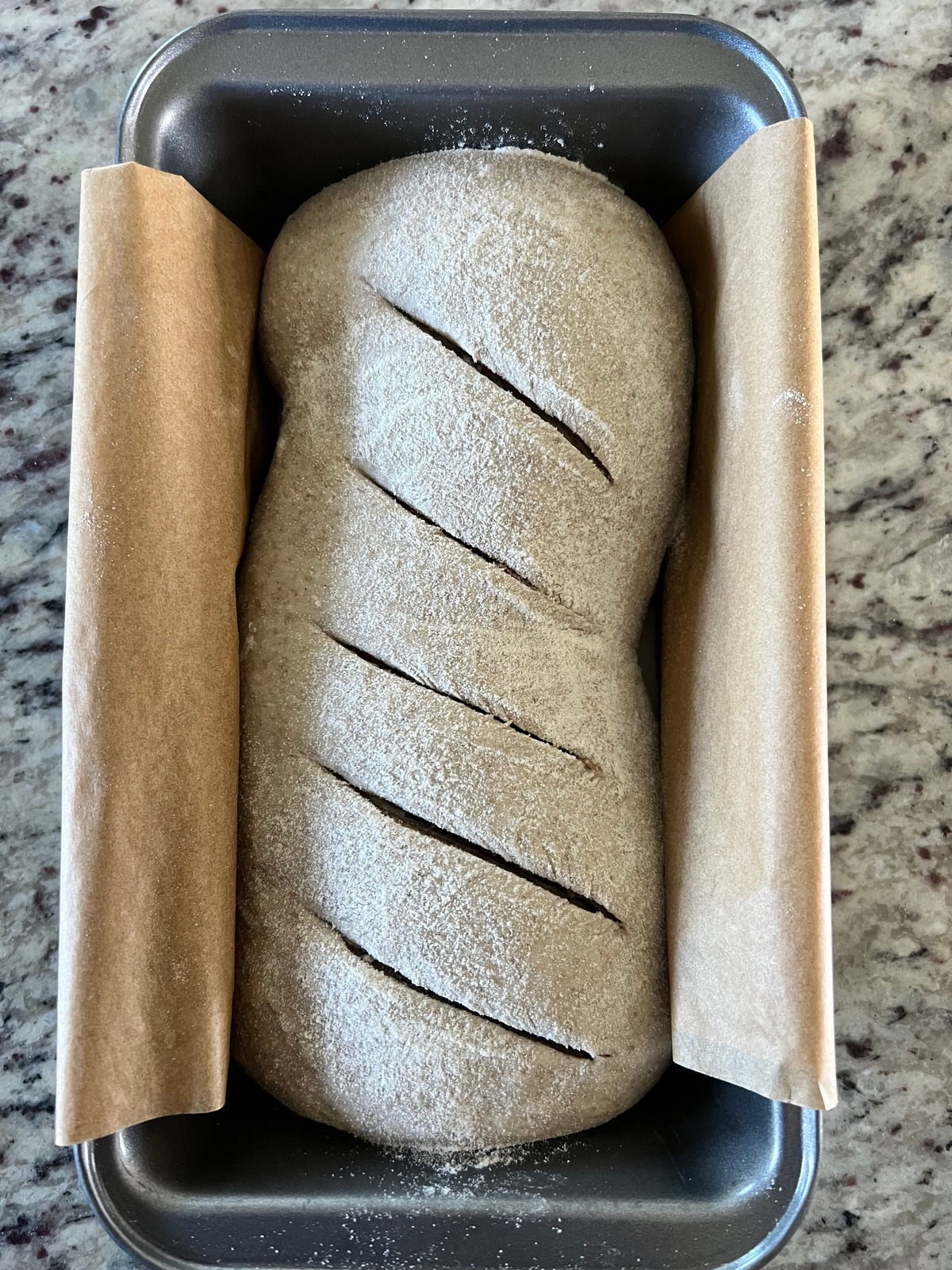 The sourdough marble rye dough is shown in a parchment paper lined loaf pan after its second rise. It has been scored and is ready to be baked.