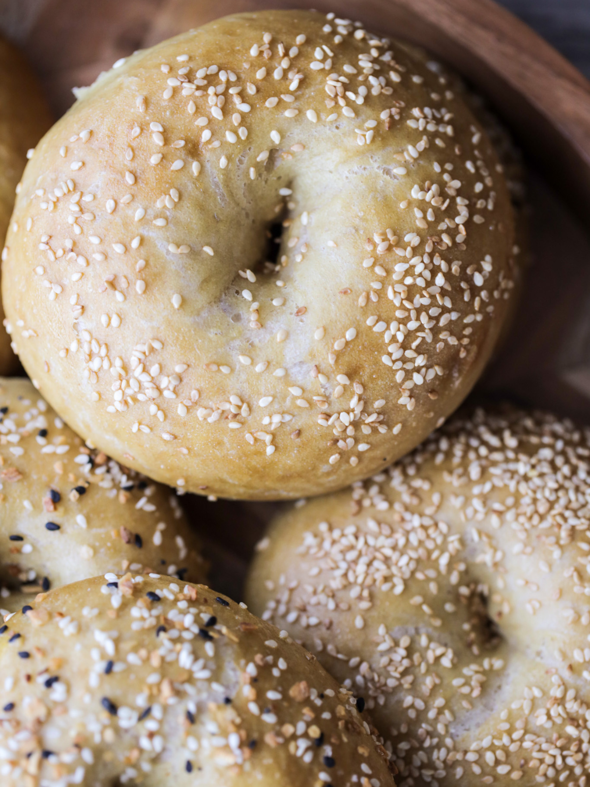 A closeup of one sourdough bagel with sesame seeds on top of several other naturally fermented sourdough bagels.