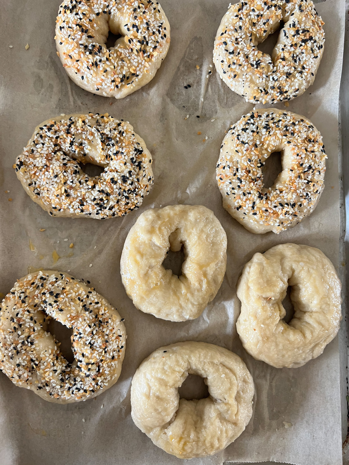 Eight sourdough bagels after the baking soda bath and before baking. Five of the eight are covered in everything bagel seasoning.