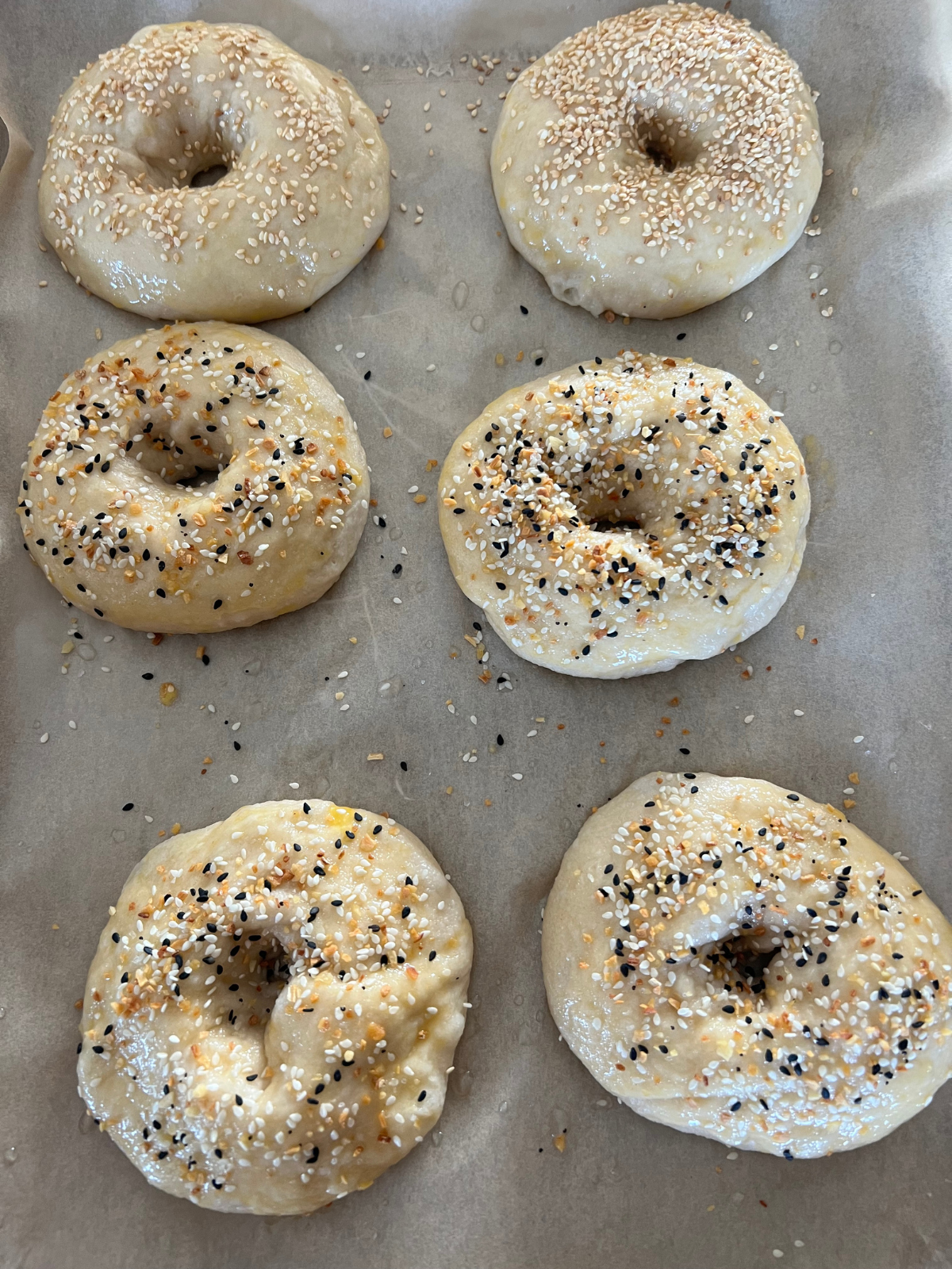 Six sourdough bagels are shown on a parchment lined baking sheet. They have been brushed with egg wash and topped with everything bagel seasoning and sesame seeds. 