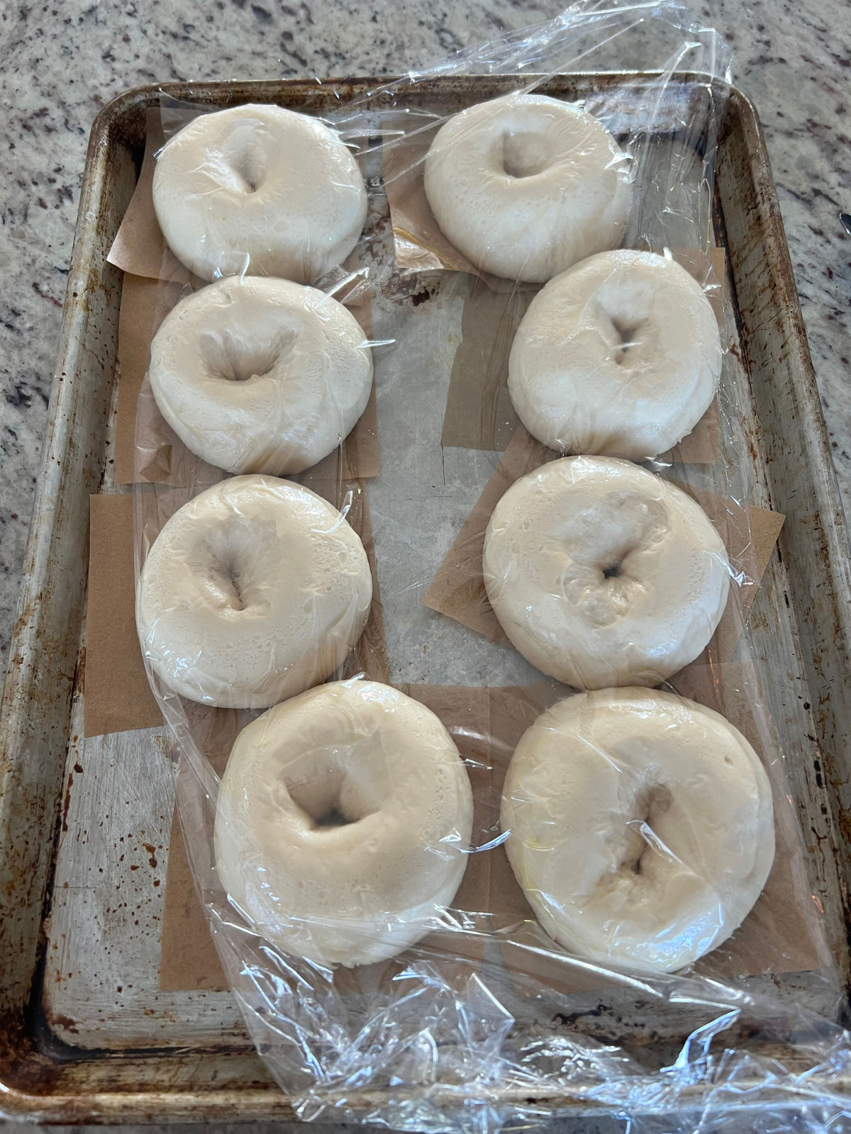 Eight sourdough bagels after their second rise. They sit on a baking sheet covered in a greased plastic wrap. 