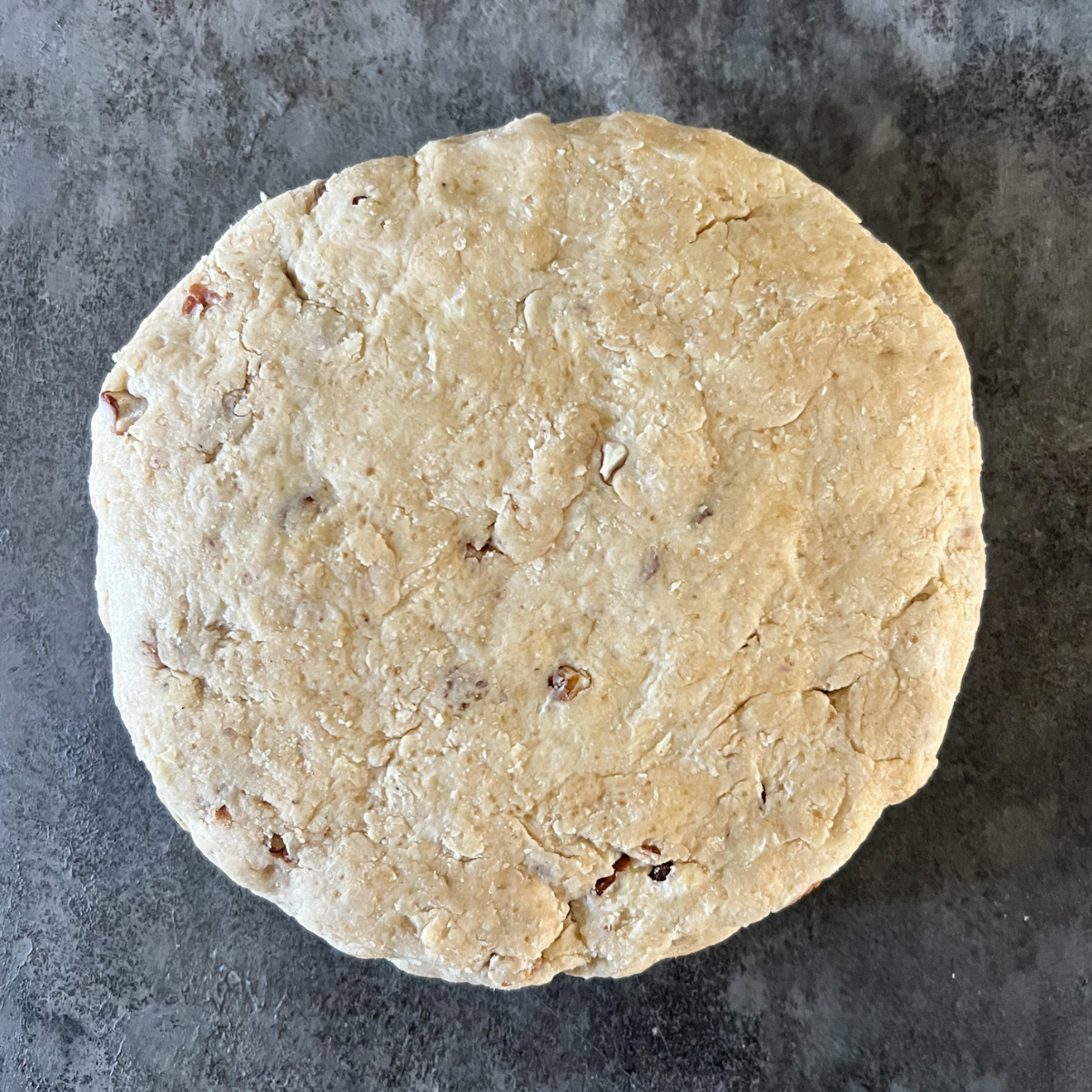 The sourdough maple pecan scone dough sits in a disc shape on the counter before it chills in the fridge. 
