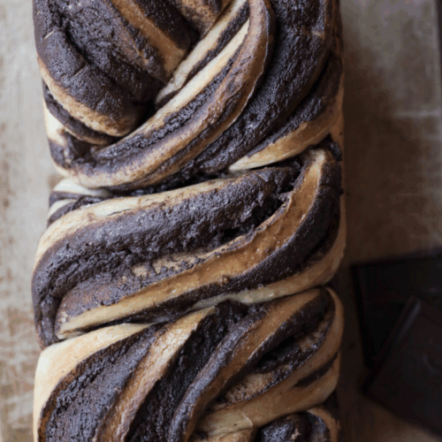 A loaf of freshly baked sourdough chocolate babka.