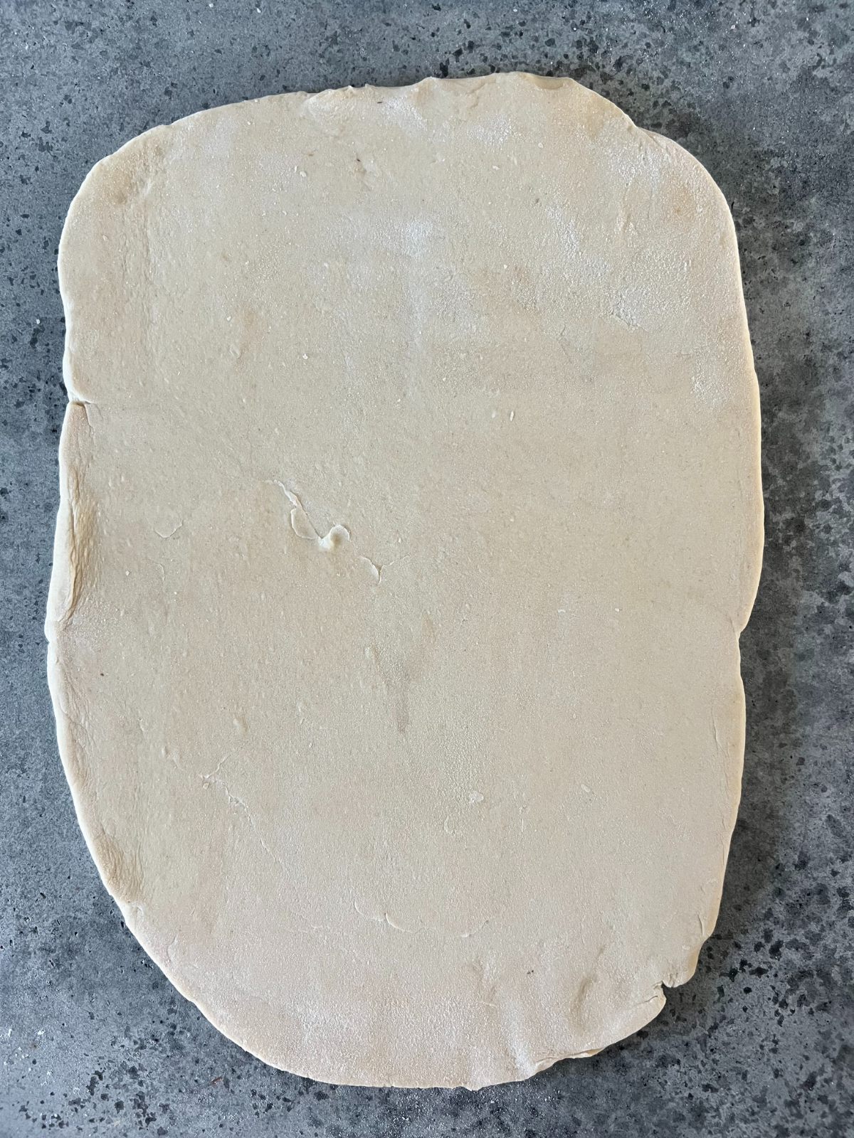 The enriched sourdough babka dough is rolled out into a rectangle.