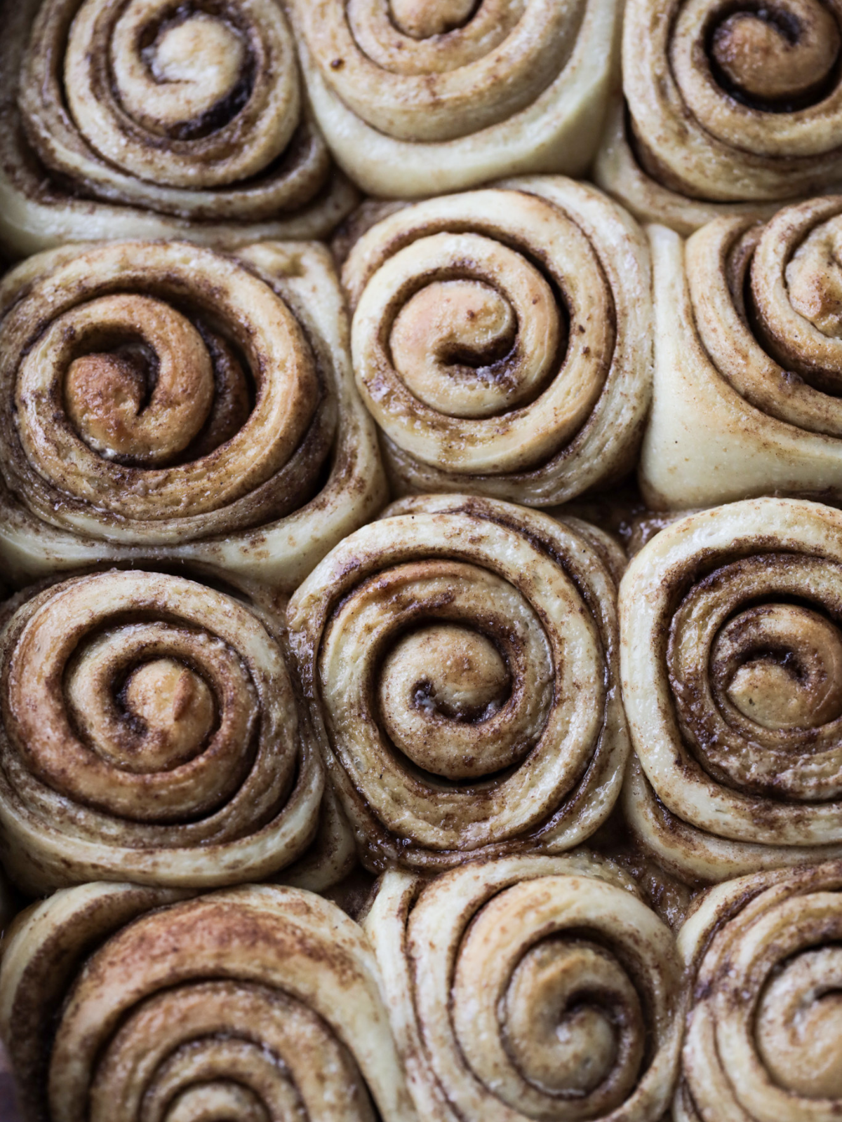 The sourdough cinnamon rolls are freshly baked and ready to be frosted.