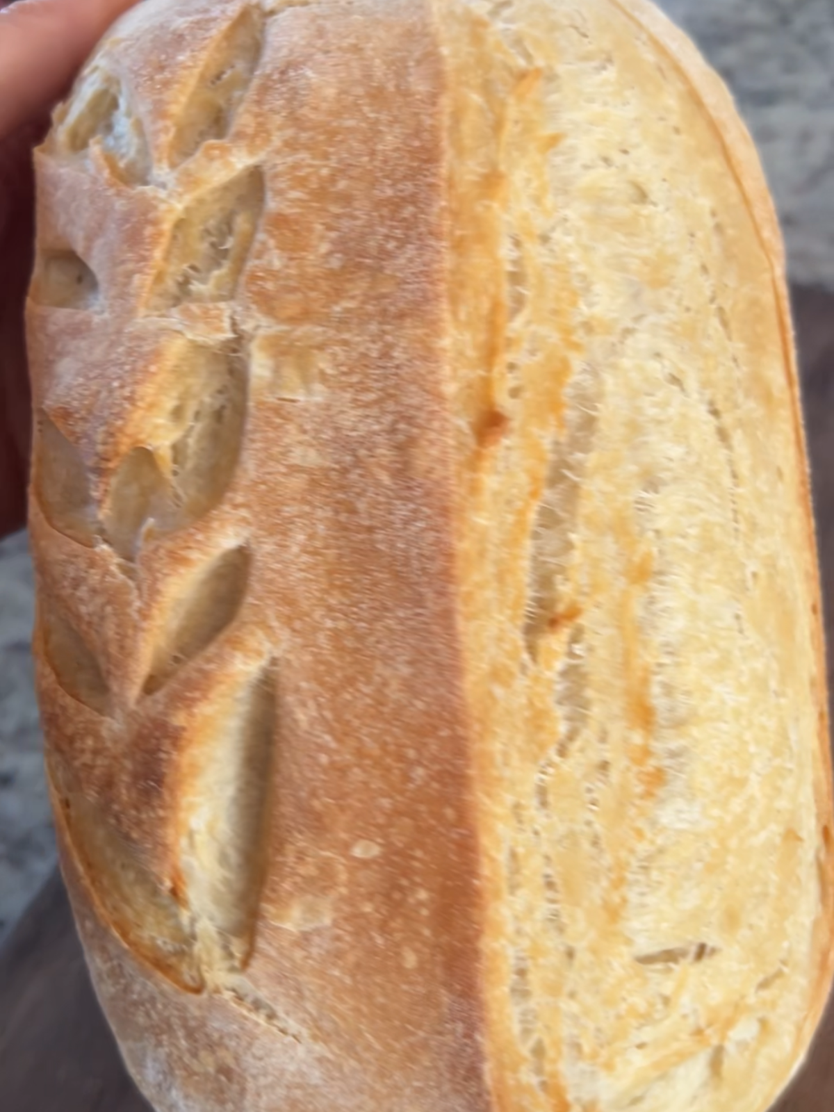 The fully baked sourdough sandwich bread sits on the counter. It has a golden brown crust and will cool before being sliced. 