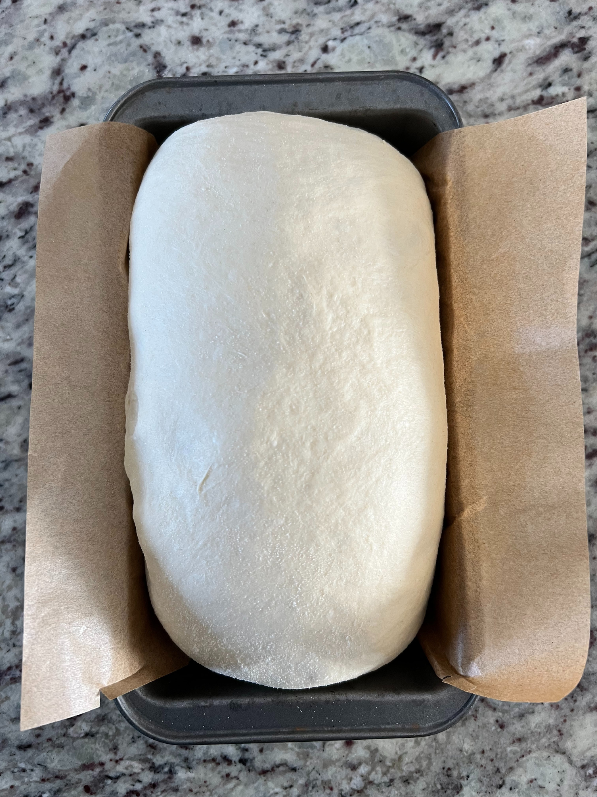 The sourdough sandwich dough sits in the loaf pan. It has risen after 2 additional hours.