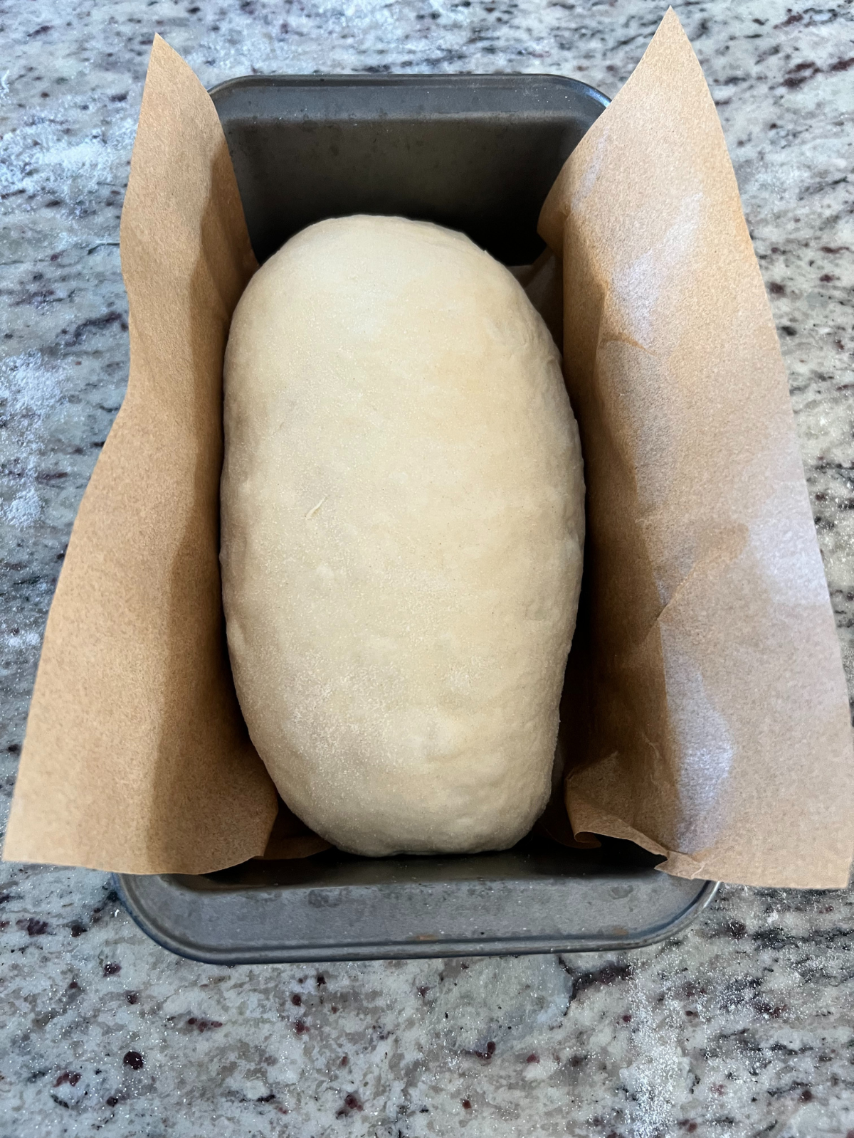 The sourdough sandwich dough sits in a parchment-paper lined loaf pan about to begin its second rise.
