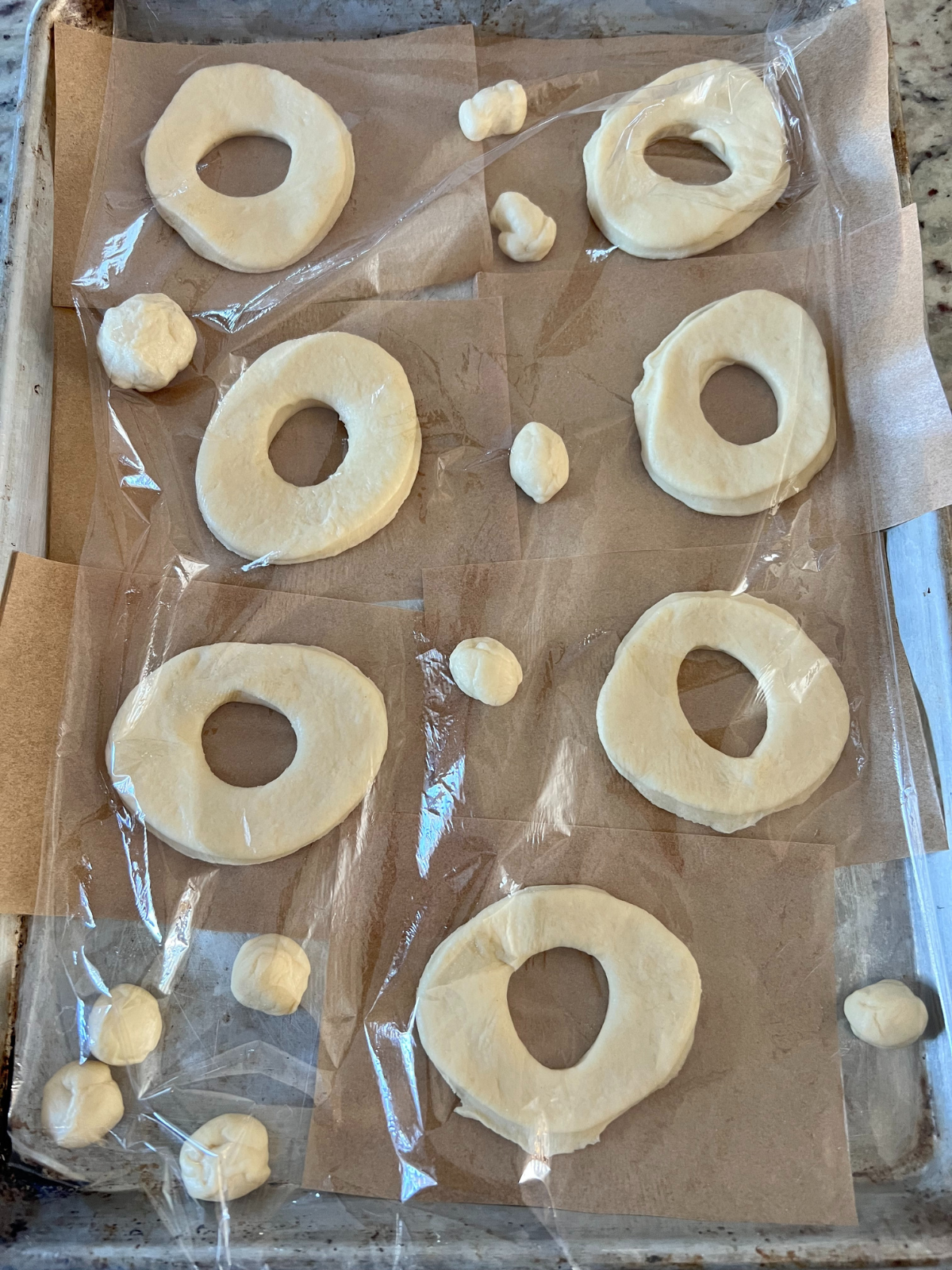 The sourdough donuts and donut holes are shown on parchment paper sitting on a baking sheet. The donuts are covered with plastic wrap so they can rise in a warm place.