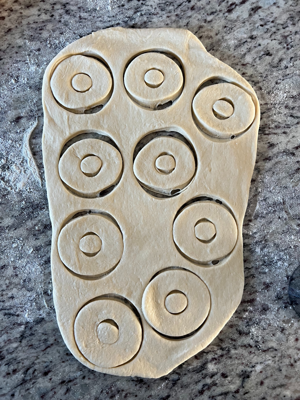 The sourdough donut dough has been rolled out and cut into donut shapes.