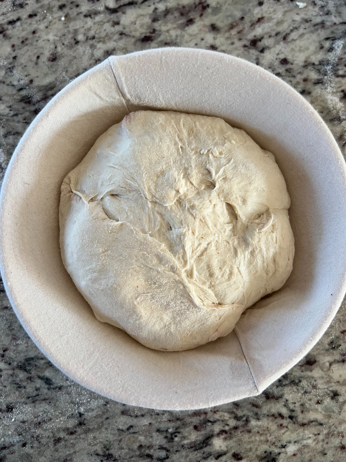 The sourdough strawberry white chocolate dough is placed seam-side up in the floured banneton.