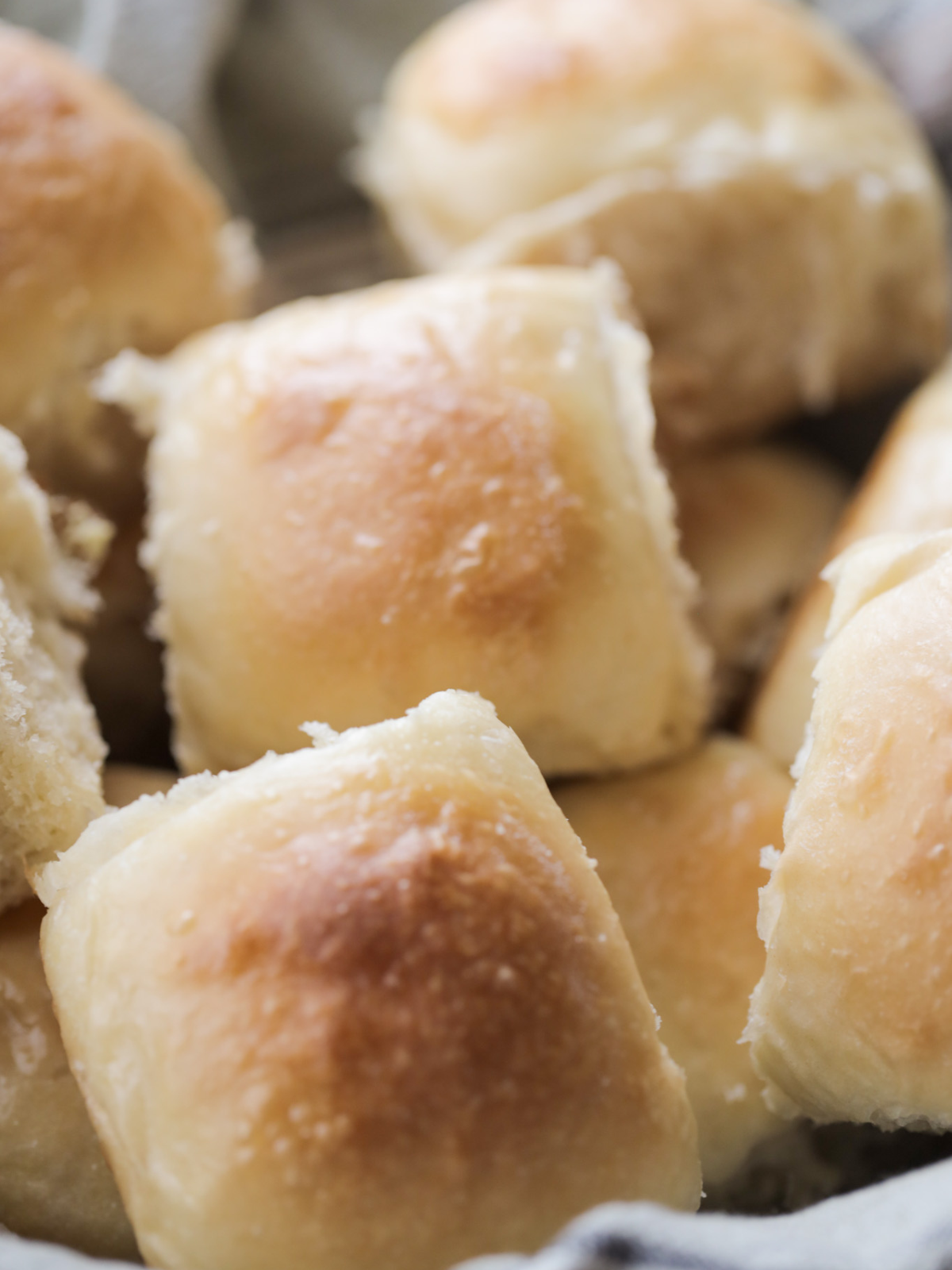 Twelve sourdough brioche dinner rolls sit in a basket.