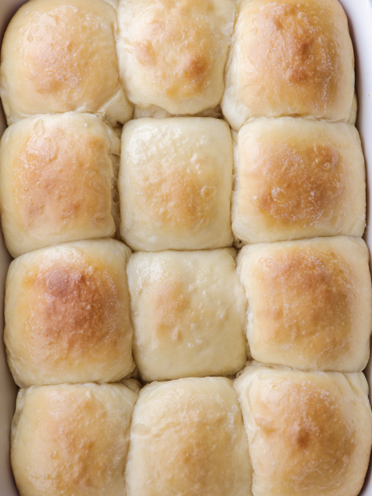 Freshly baked sourdough brioche dinner rolls sit golden brown in a baking dish.
