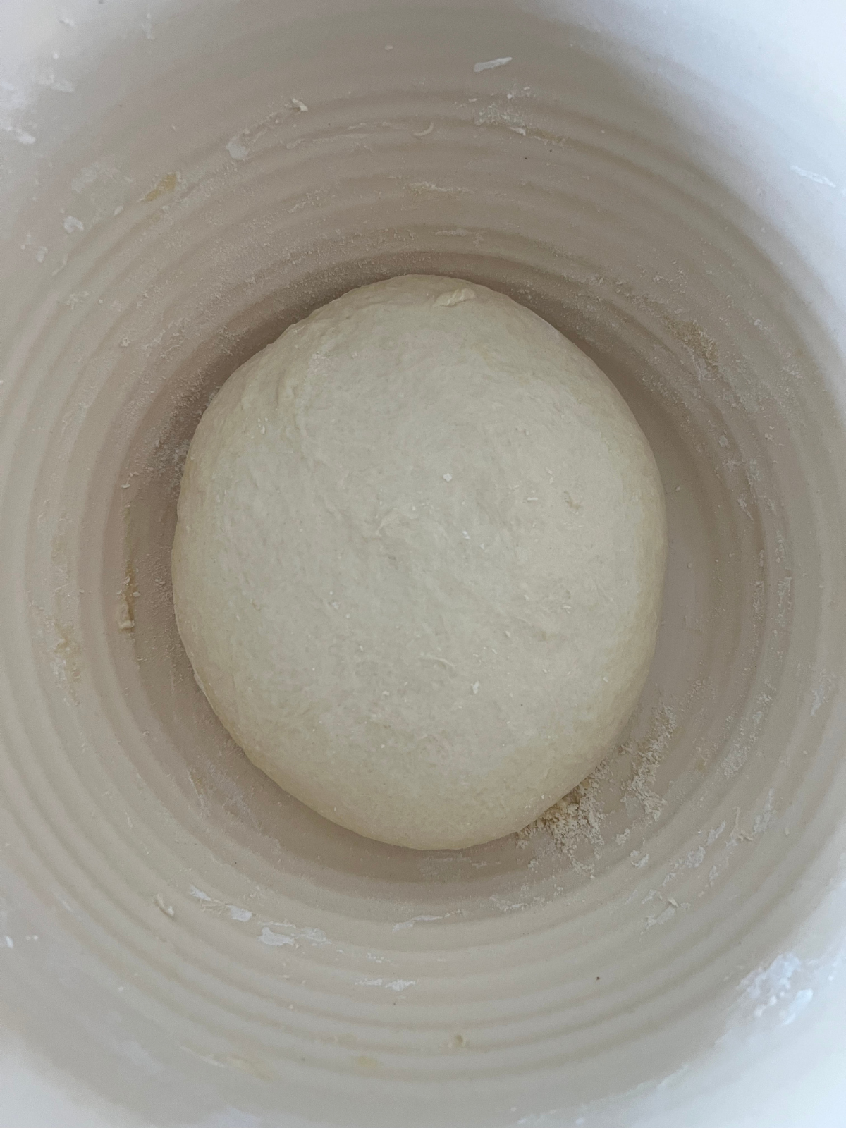 The sourdough naan dough ball sits in a mixing bowl where it will ferment and rise over the course of 4-6 hours. 