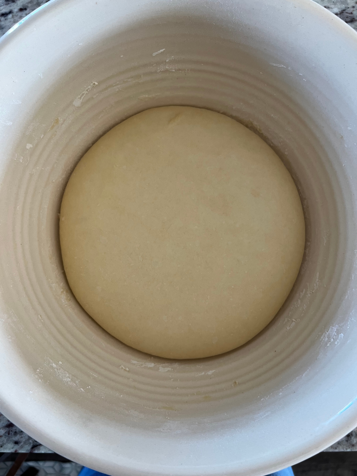 The sourdough naan dough has about doubled in size and is fermented. It sits in the mixing bowl ready to be divided and rolled out.