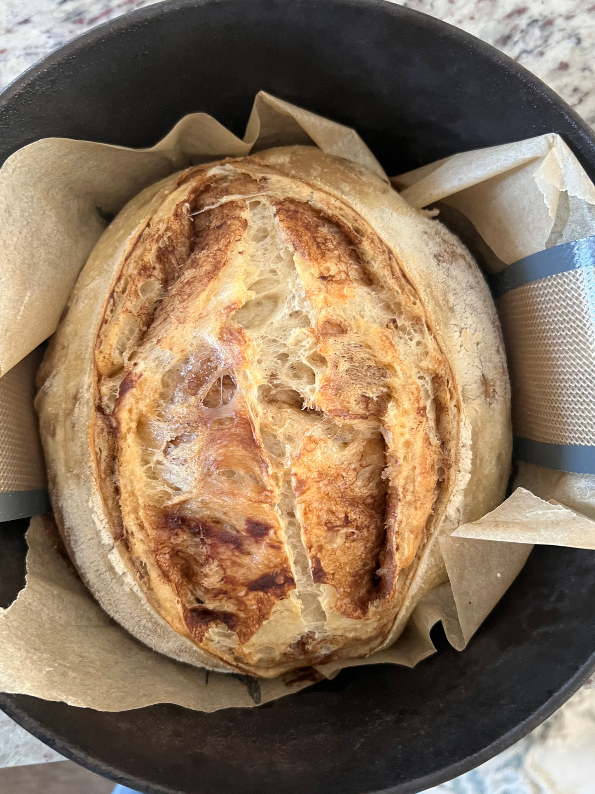 A sourdough cinnamon sugar loaf of bread is shown in a Dutch oven after baking for 30 minutes with the cover on.