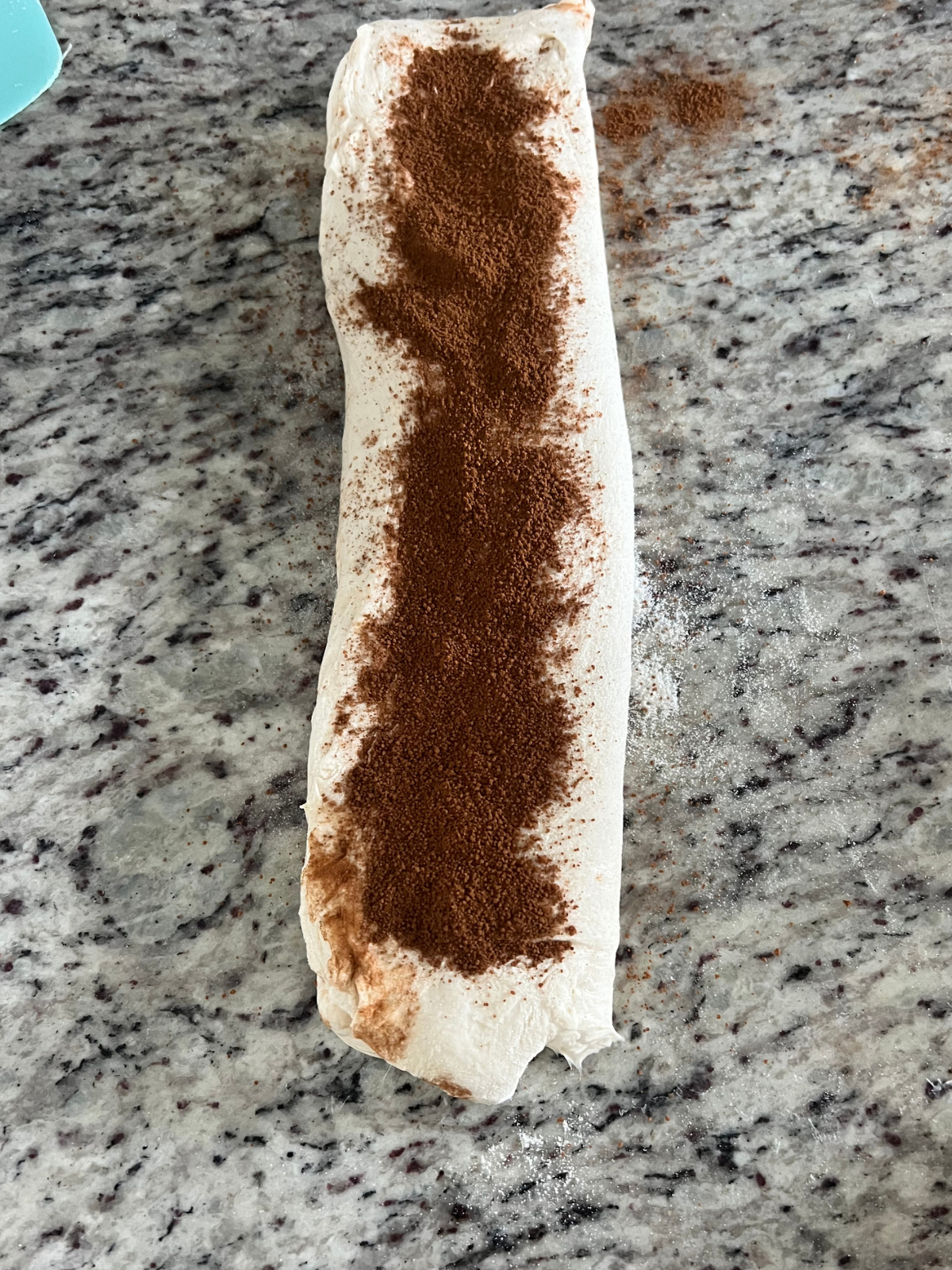 The sourdough dough has been folded into a log with the cinnamon sugar sprinkled over it.