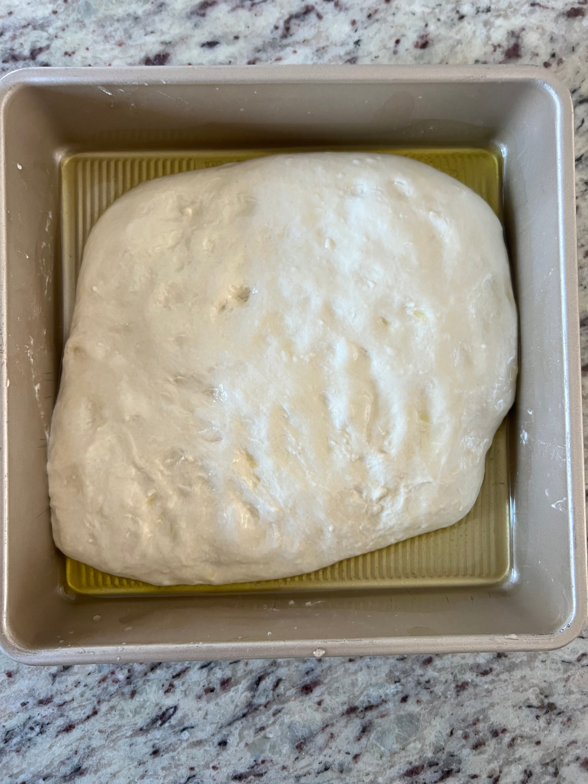 The sourdough focaccia dough sits in the extra-virgin olive oil drizzled baking pan after its cold ferment. It is about to have its second rise.