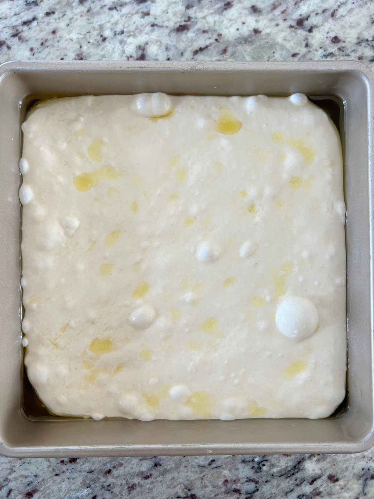 The sourdough focaccia dough sits in the baking pan after its second rise. There are air bubbles and it is fully fermented and ready to bake.