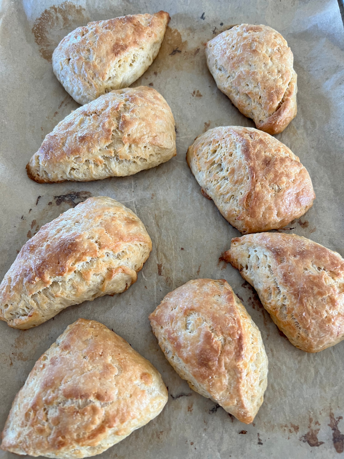 The sourdough lemon scones are freshly baked and out of the oven. They sit golden brown on top of the baking sheet.