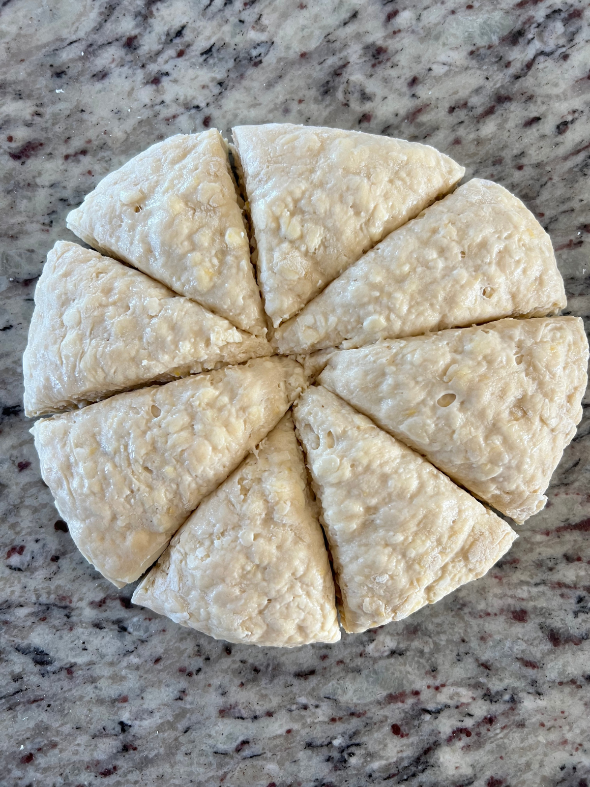The sourdough lemon scone disc has been cut into 8 slices. 