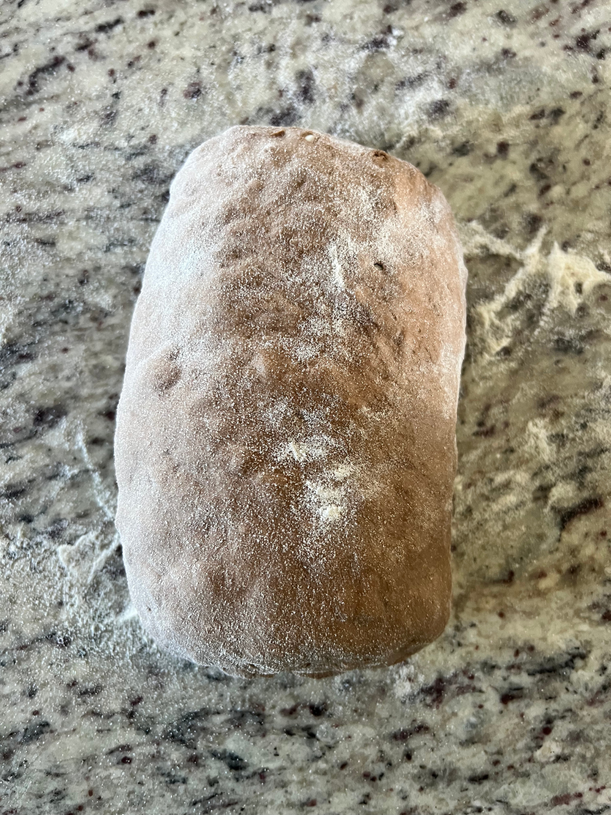 The sourdough coffee and chocolate bread dough has been shaped into a loaf.