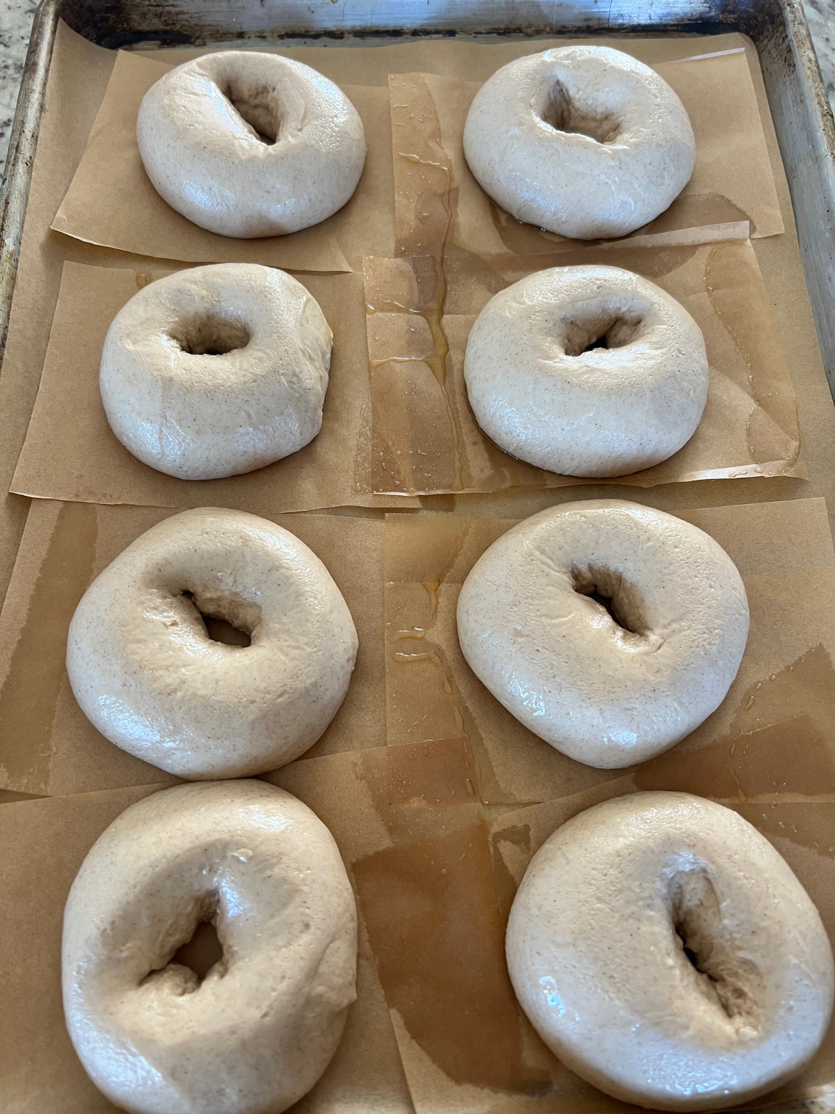 The sourdough cinnamon crunch bagels are shown on the baking sheet after having risen.