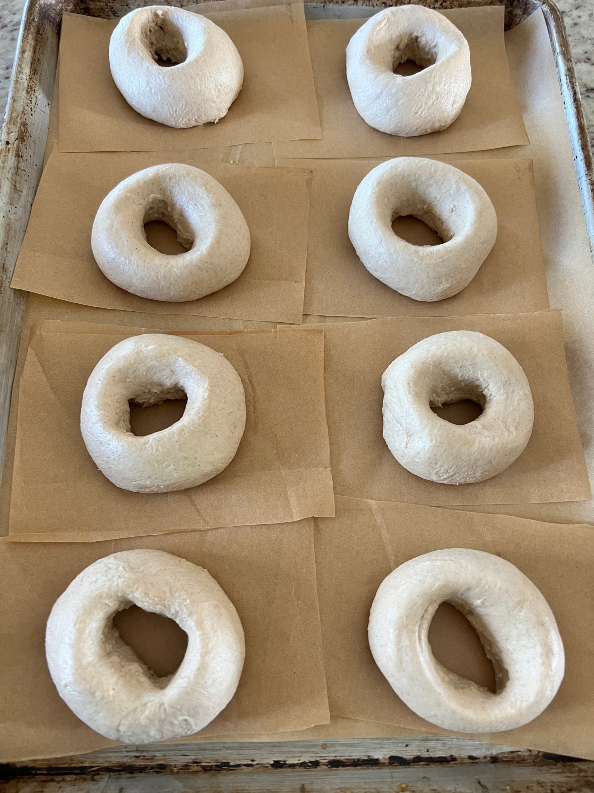 The sourdough cinnamon crunch bagels are shaped and sitting on a parchment paper lined baking sheet to prepare for their second rise.