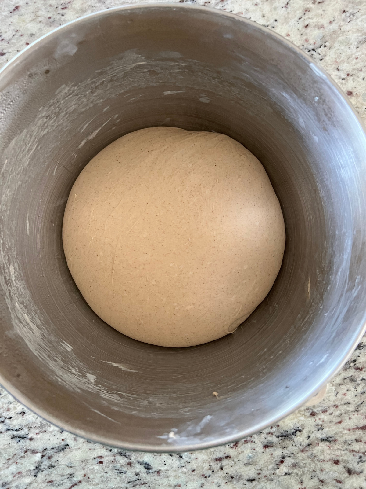 The sourdough cinnamon crunch bagel dough rests in the mixing bowl after its first rise. It has visibly risen by 50-75%. 