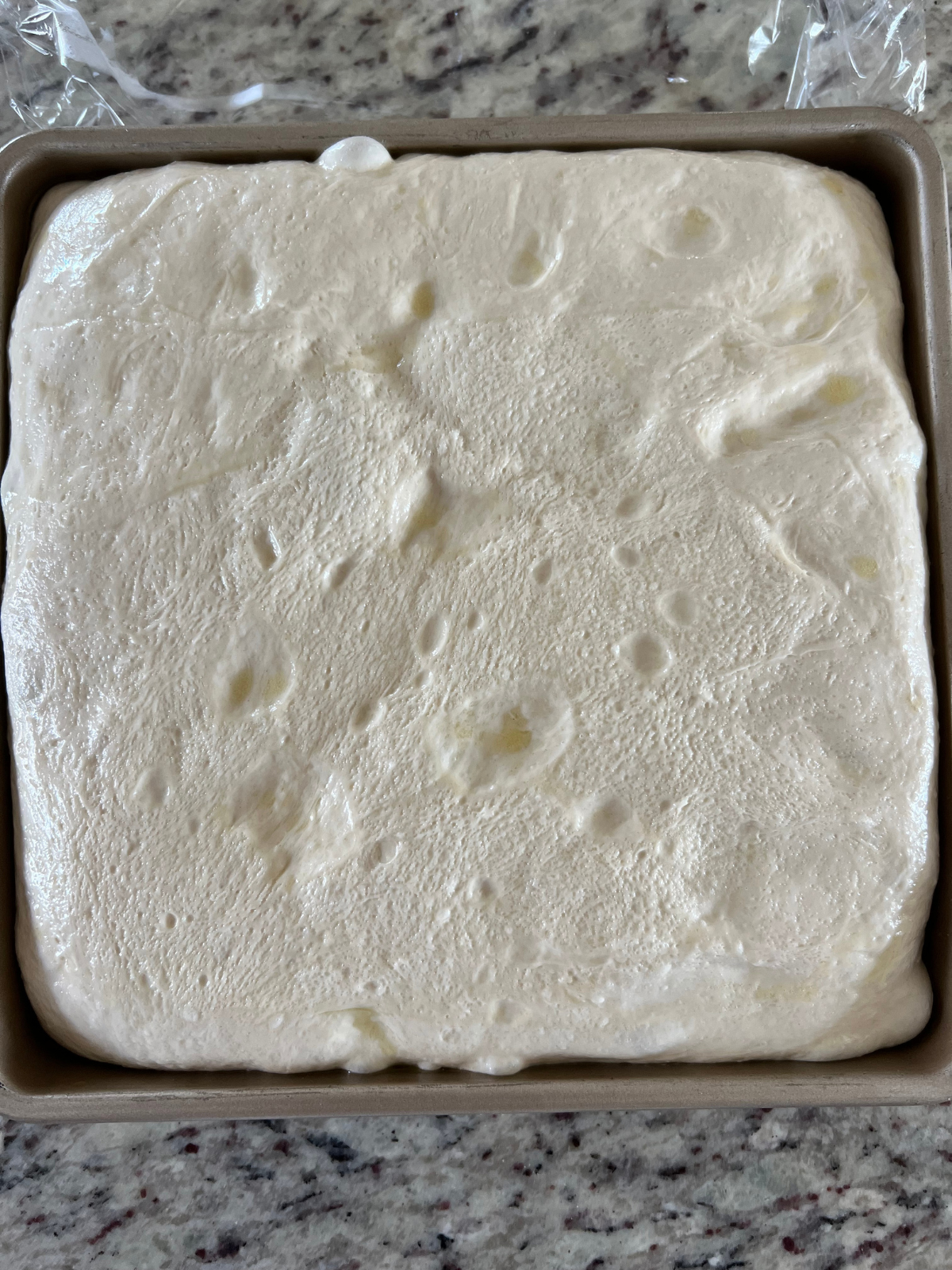 The sourdough focaccia dough has visibly risen in the baking dish and is ready for the pickles, cheddar cheese, and dill.
