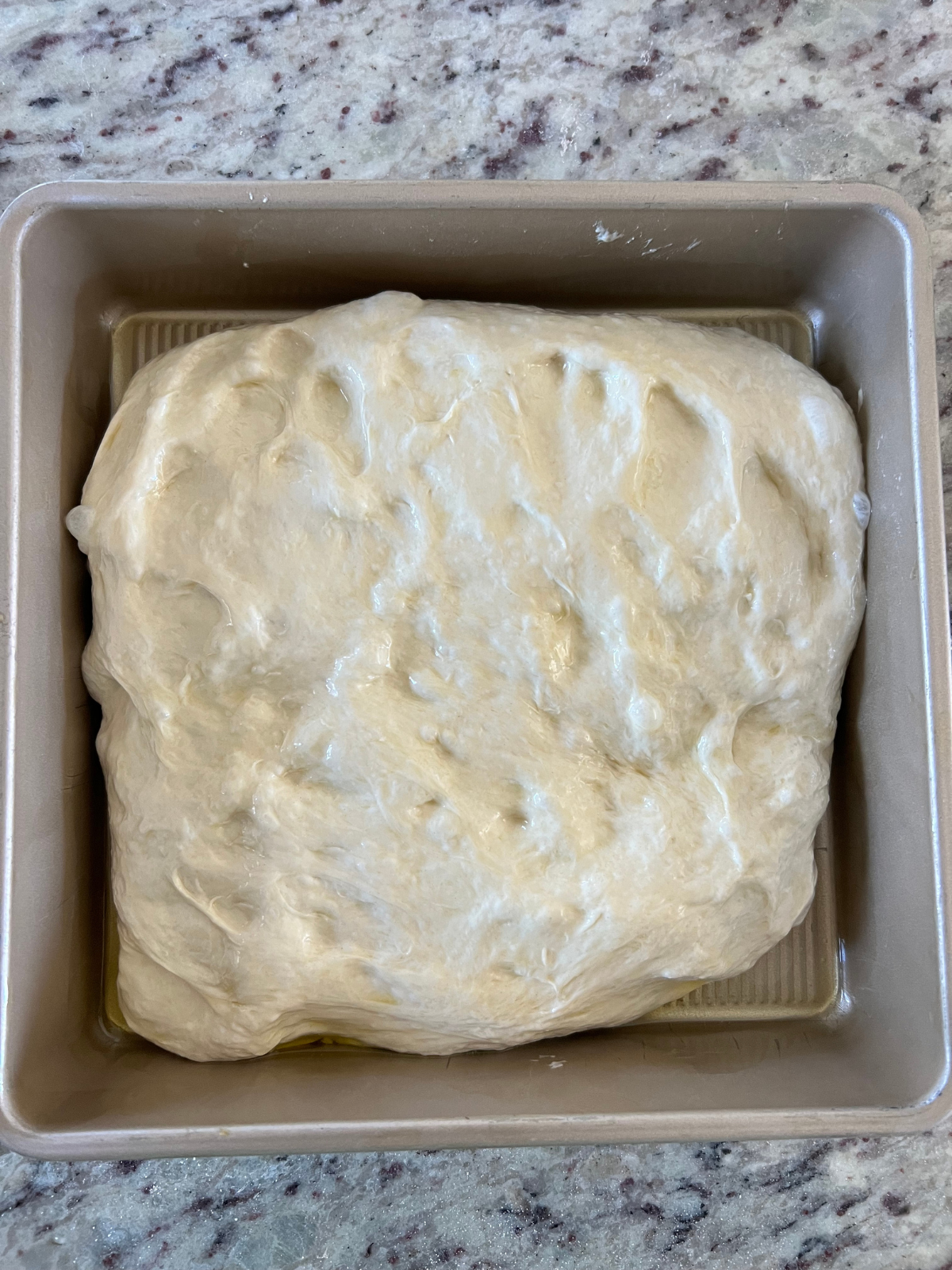 The sourdough focaccia dough sits in a well-oiled 9x9 baking pan after its folds, preparing for its second rise before baking.