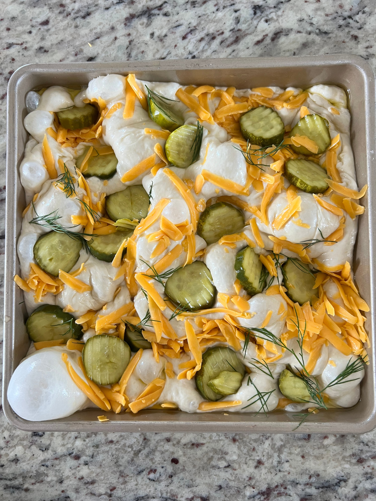 The sourdough pickle focaccia dough now has the pickles, shredded cheddar cheese, and fresh dill. There are visible bubbles throughout and it is ready to bake!