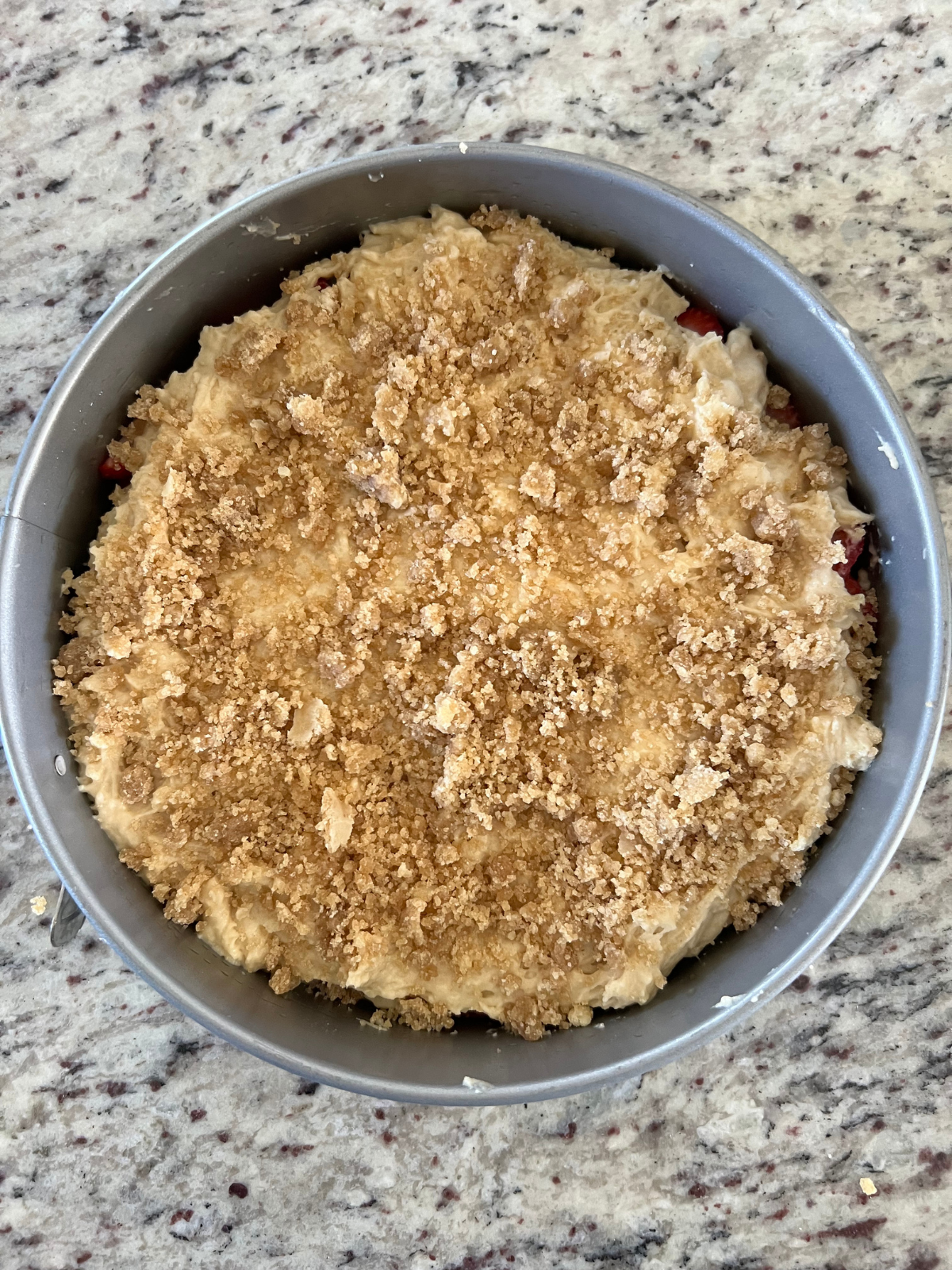 The remaining ingredients have been added to the springform pan and the sourdough coffee cake is ready to be baked.