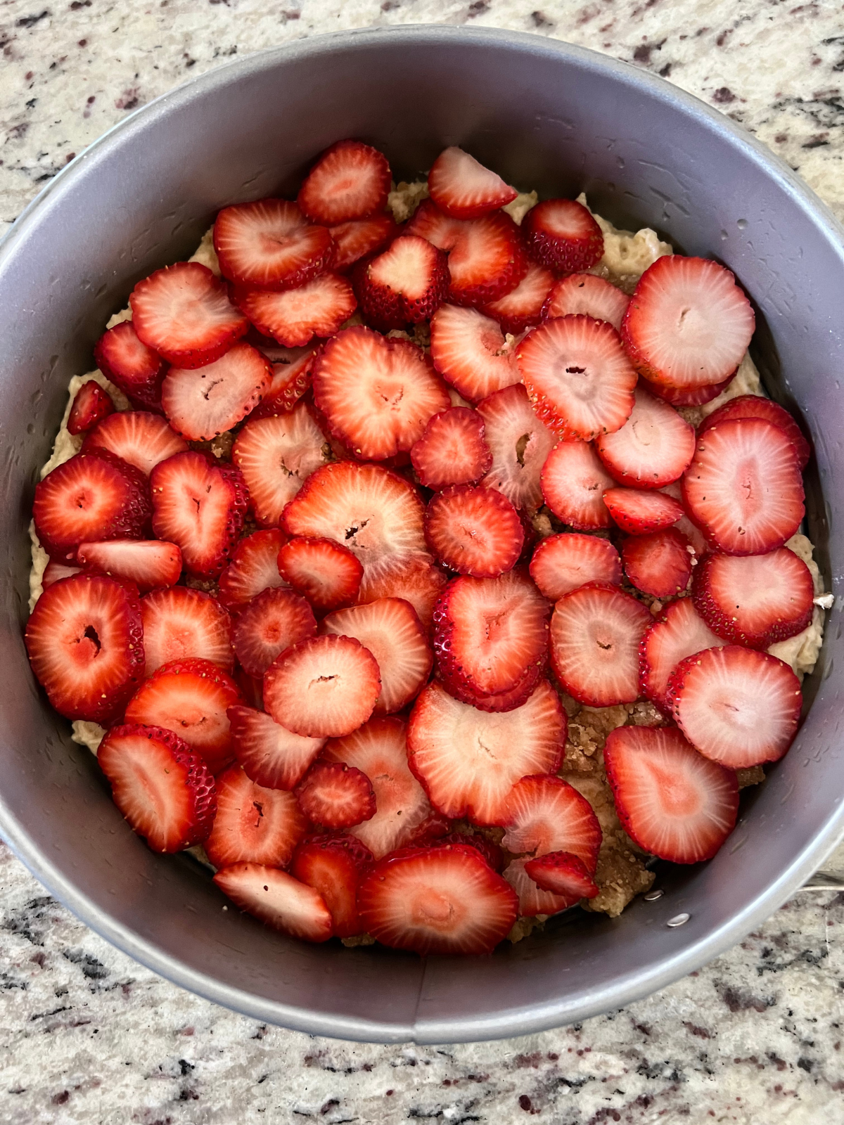 Half the sourdough coffee cake batter, half the streusel, and the sliced strawberries rest in a round 9 inch springform pan.