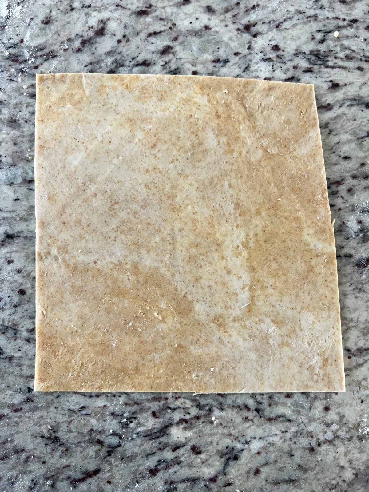 The sourdough pop tart dough is rolled out and cut into a large rectangle. 