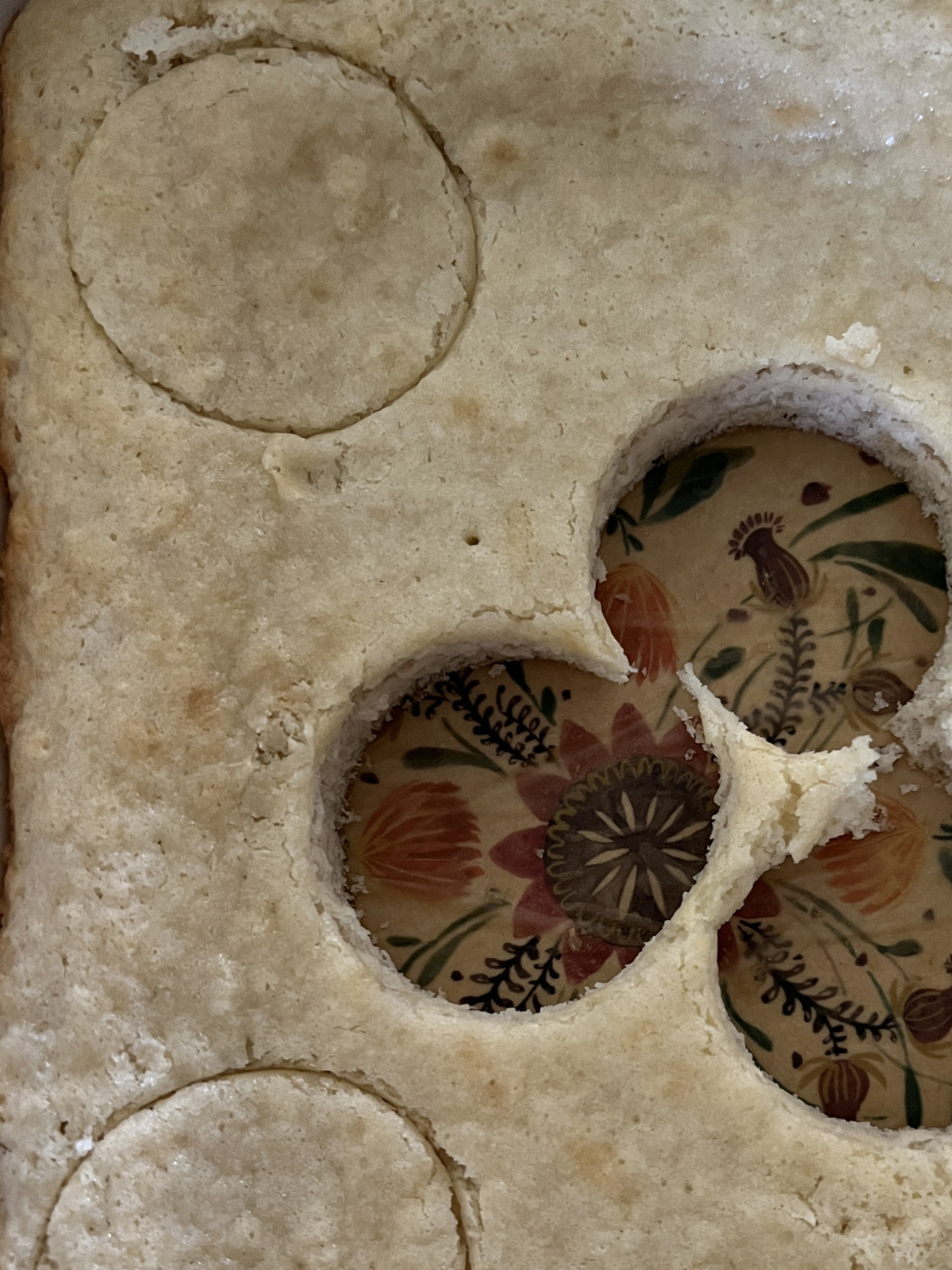 The sourdough vanilla cake is shown cut out into rounds from the biscuit cutters. The cakes will be transferred to the jars. 