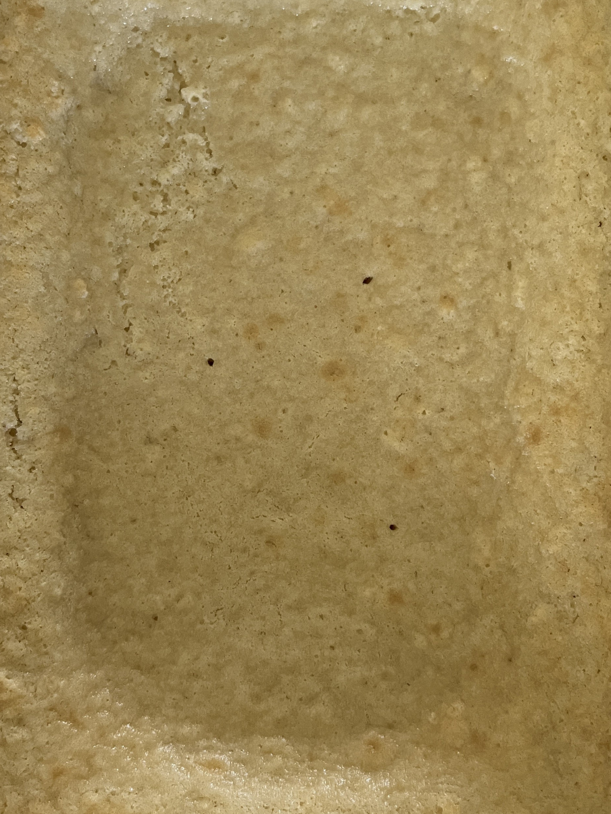 The freshly baked sourdough vanilla cake sits in the baking pan.