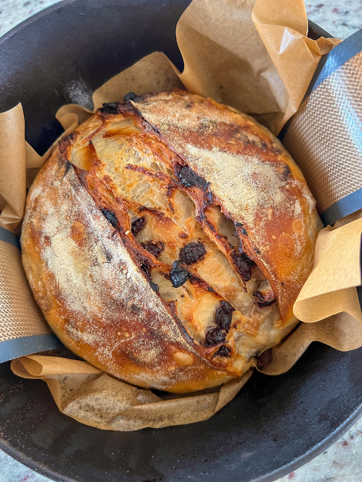 The sourdough smores bread is shown fresh out of the oven in the dutch oven with parchment paper and a bread sling.