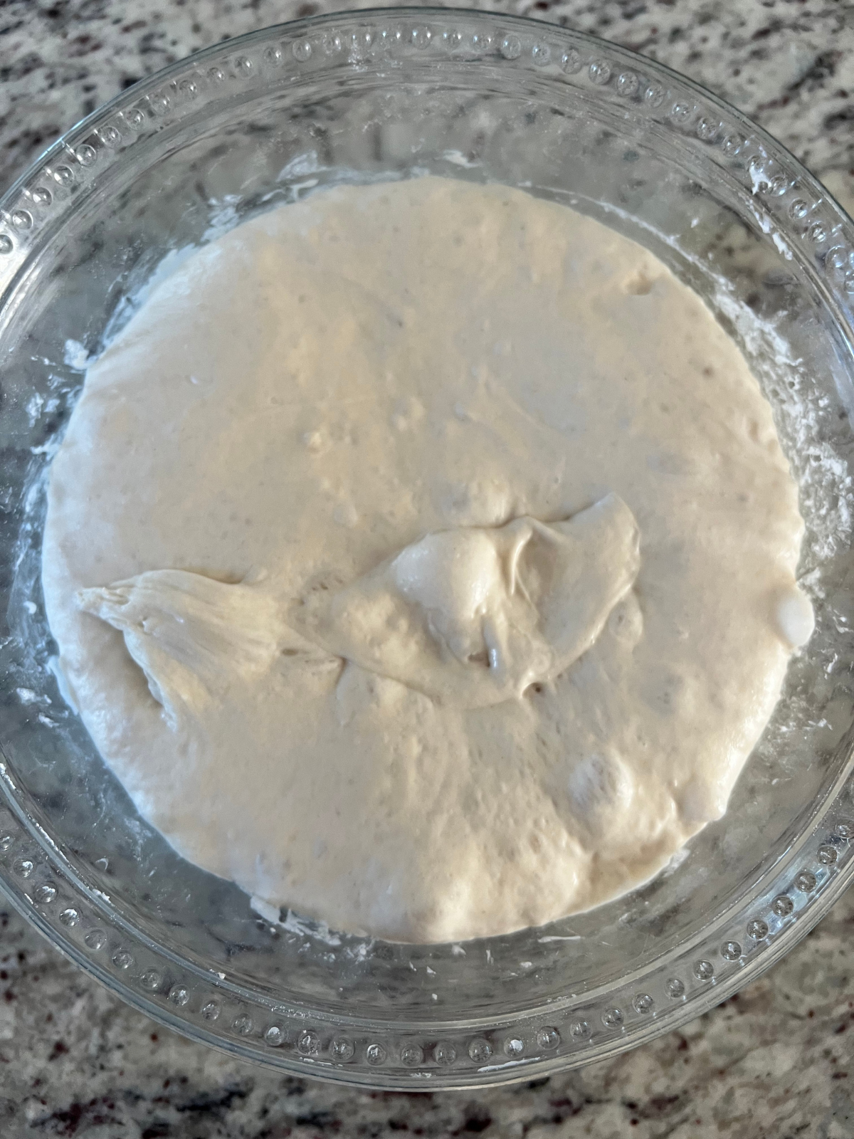 The sourdough bread dough has been bulk fermented and is ready for the inclusions and shaping.