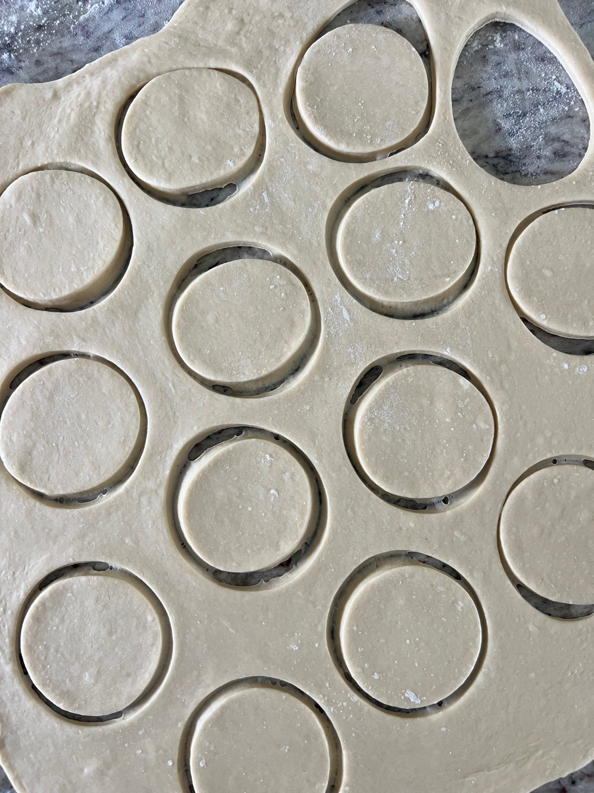 The sourdough donut dough has been rolled out and cut into round shapes.