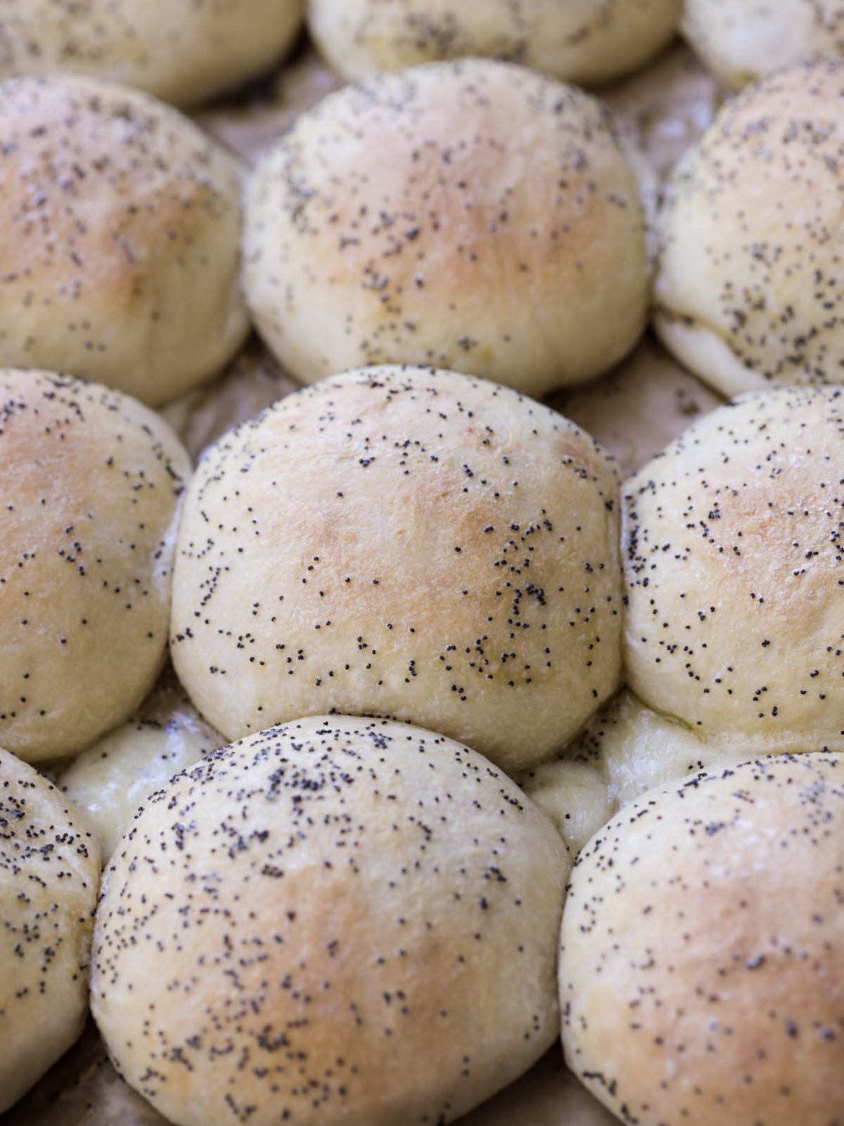 A closeup of the freshly baked sourdough ham and Swiss filled buns is shown on the baking sheet.
