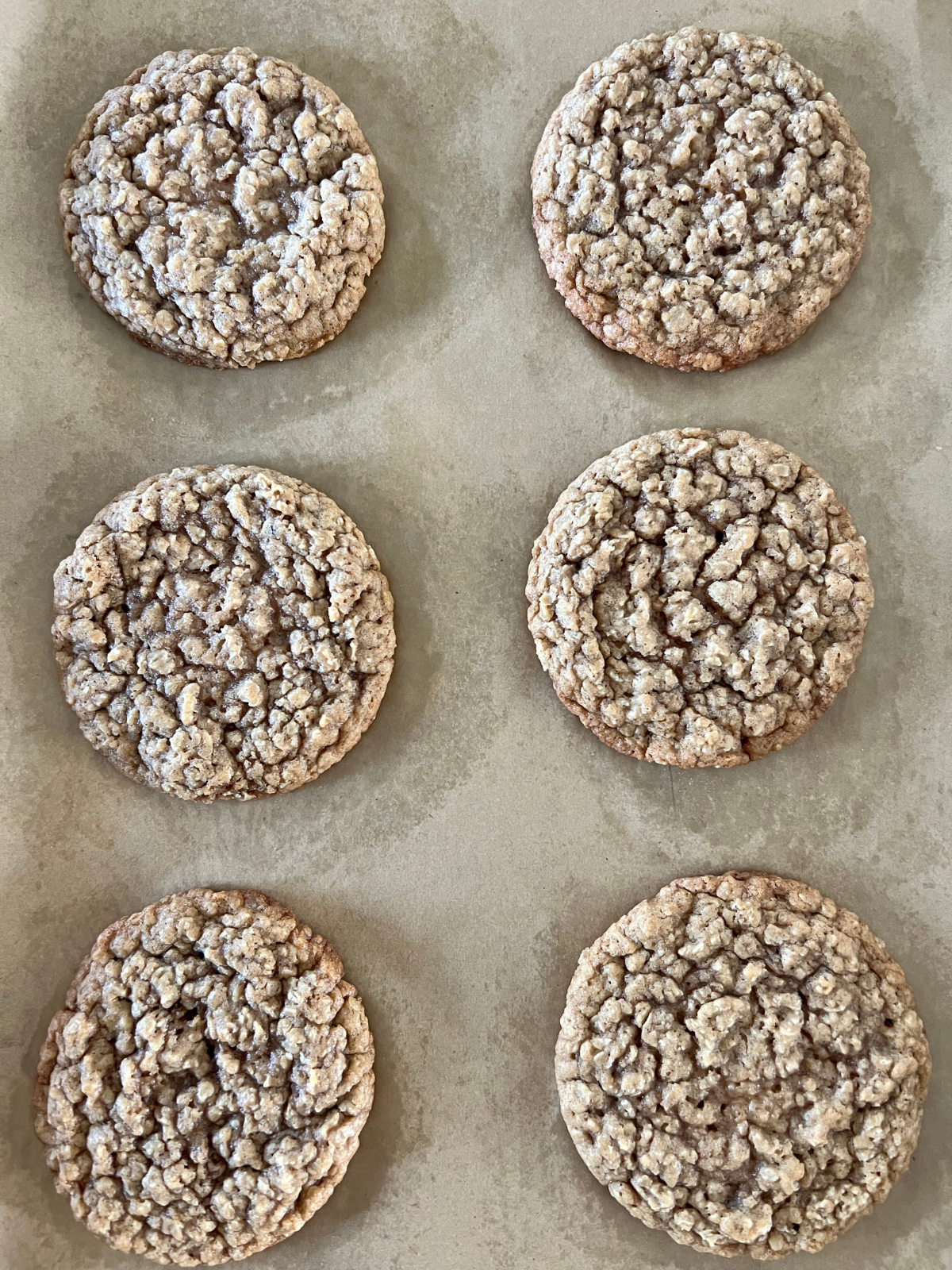 The sourdough oatmeal brown butter cookies are shown freshly baked on the baking sheet. They are have been shaped to round form.