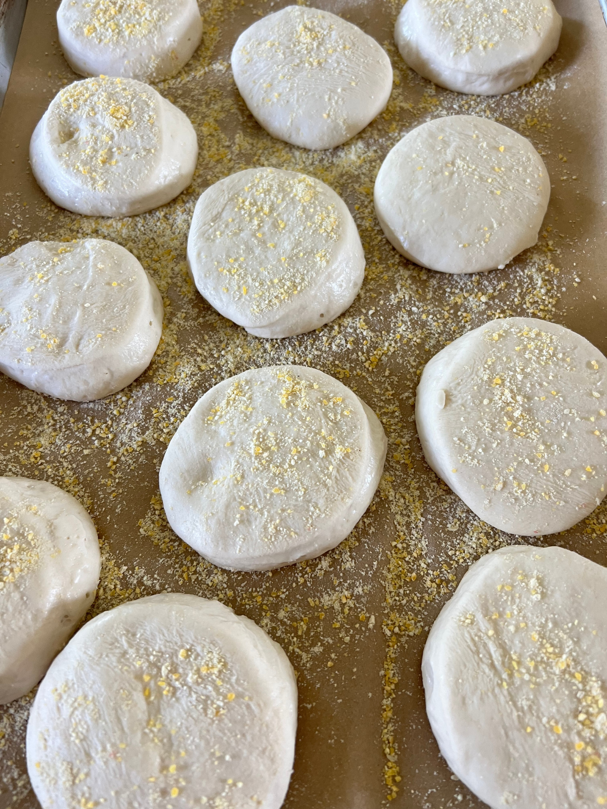 The english muffins have had their second rise and are ready to cook.